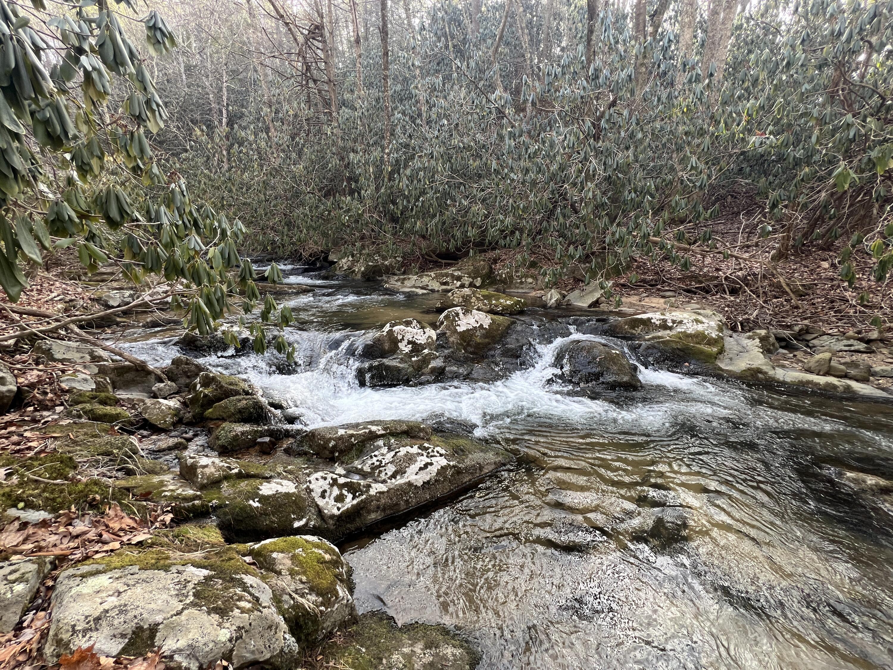 0 Bottom Creek Road Bent Mountain, VA 24059 - Photo 5 of 16