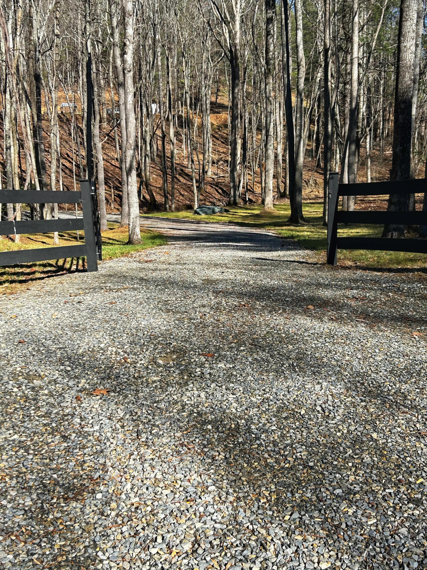0 Bottom Creek Road Bent Mountain, VA 24059 - Photo 8 of 16 a view of park with tree