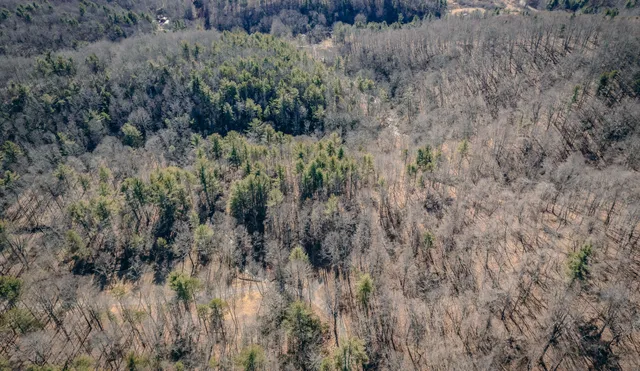 a swimming pool with outdoor seating and yard