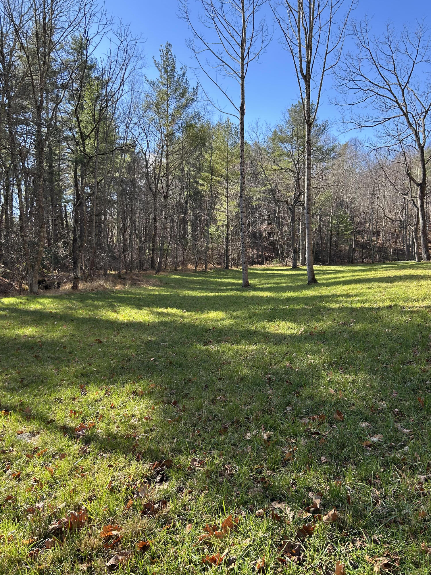 0 Bottom Creek Road Bent Mountain, VA 24059 - Photo 10 of 16 a swimming pool with outdoor seating and yard
