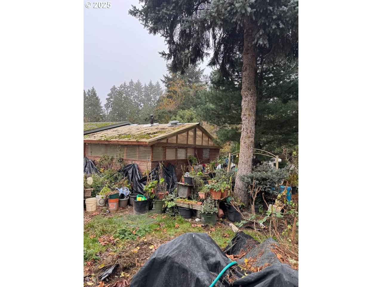 12192 South Mulino Road Canby, OR 97013 - Photo 4 of 23 a view of a outdoor space in front of a house