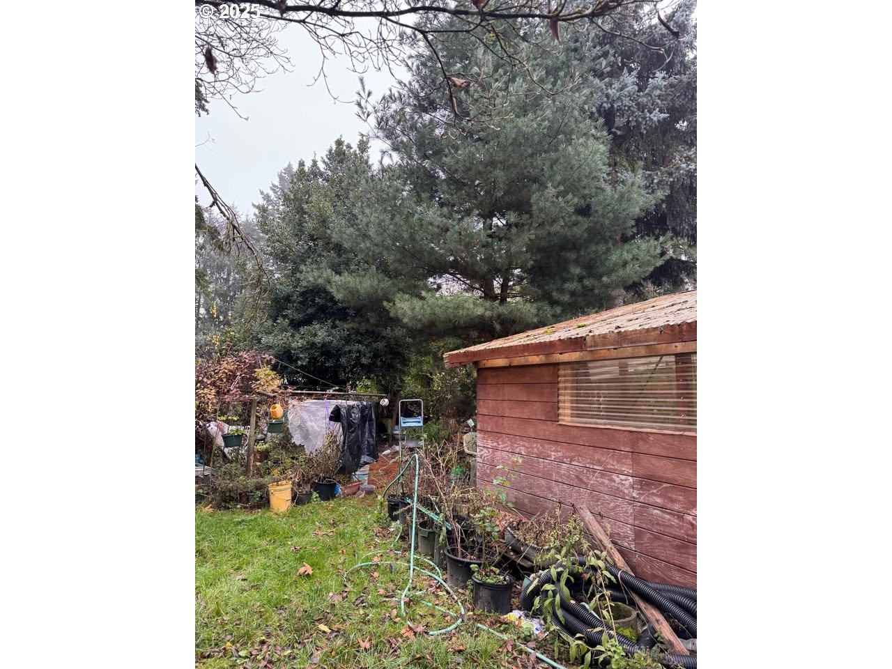 12192 South Mulino Road Canby, OR 97013 - Photo 6 of 23 a backyard of a house with lots of green space