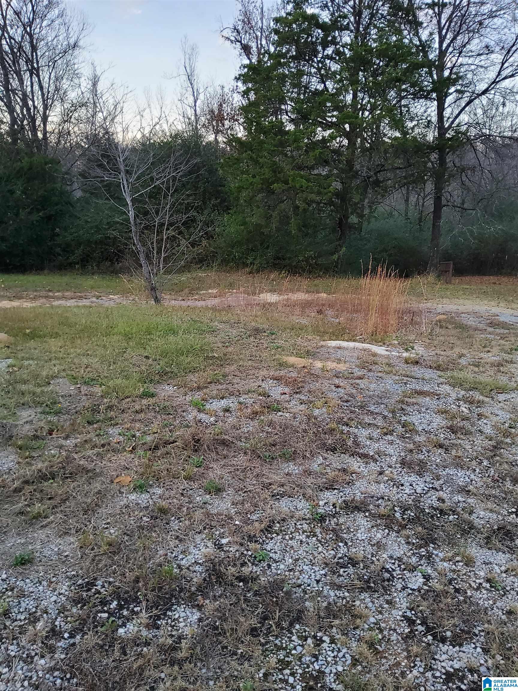 310 Oscar Bradford Road, Unit 2 Warrior, AL 35180 - Photo 2 of 7