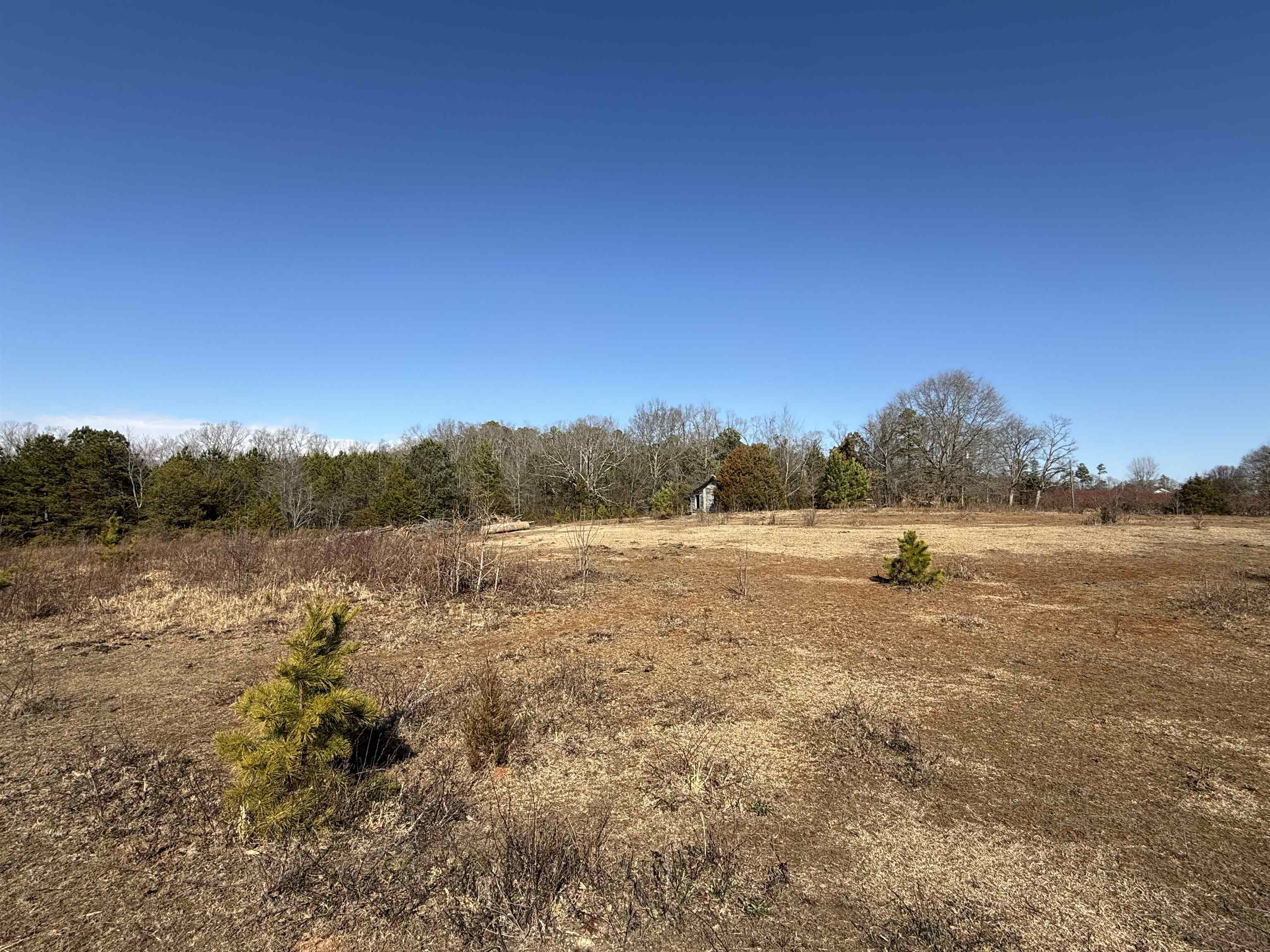 895 Mahaffey Cooley Road Chesnee, SC 29323 - Photo 1 of 42 Gallery Image 1
