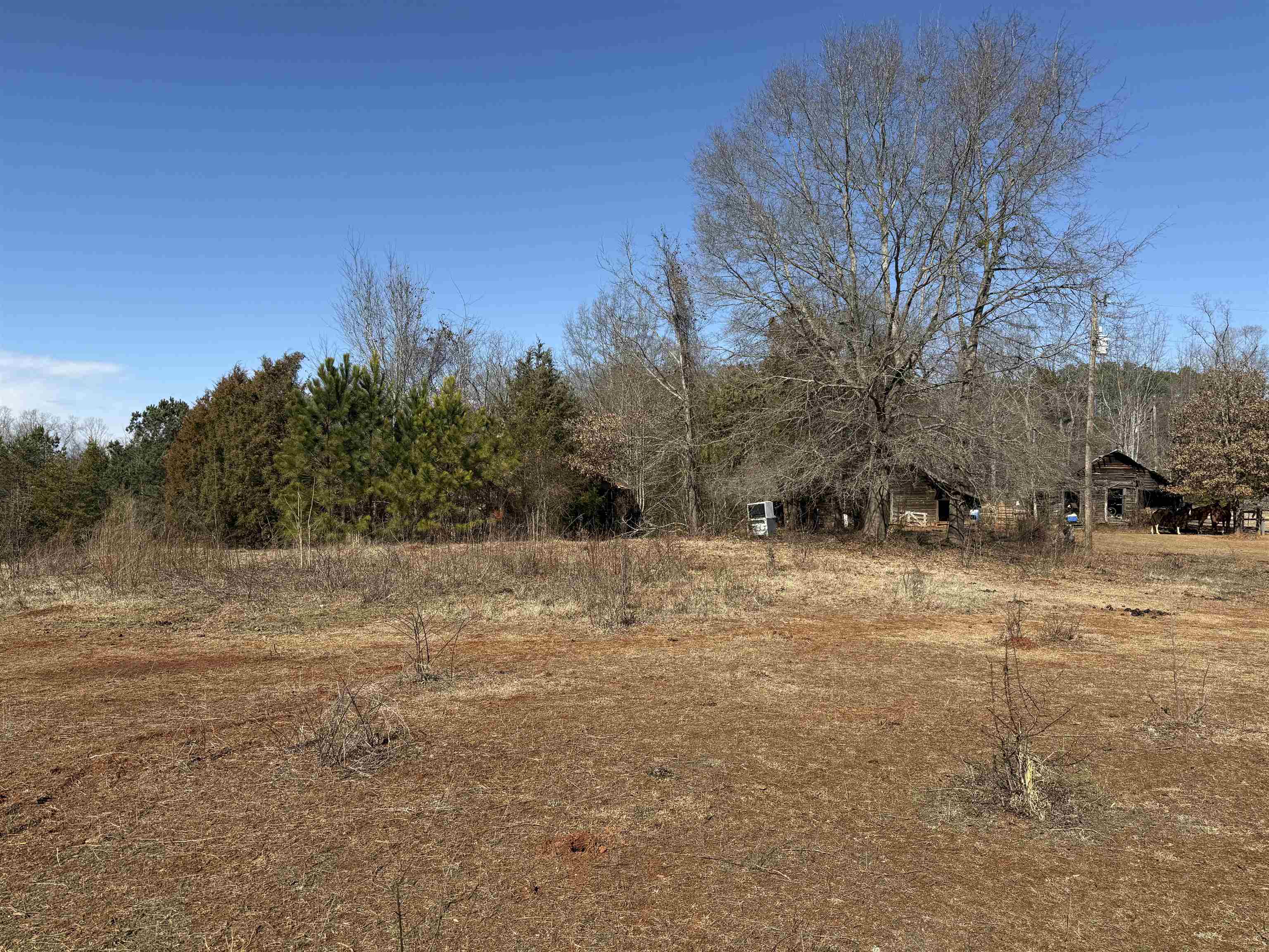 895 Mahaffey Cooley Road Chesnee, SC 29323 - Photo 11 of 42 Gallery Image 11