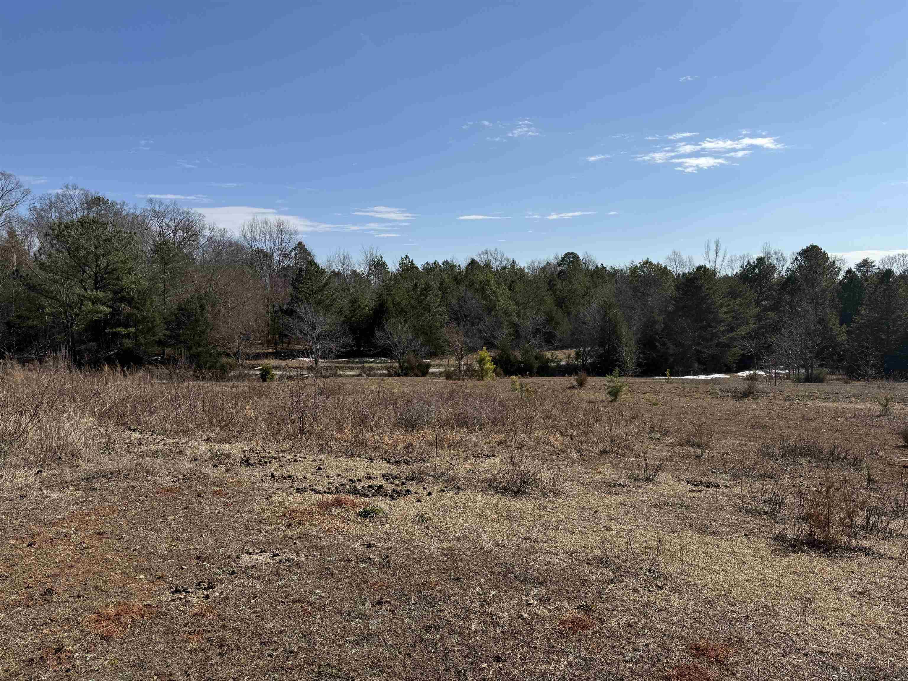 895 Mahaffey Cooley Road Chesnee, SC 29323 - Photo 12 of 42 Gallery Image 12