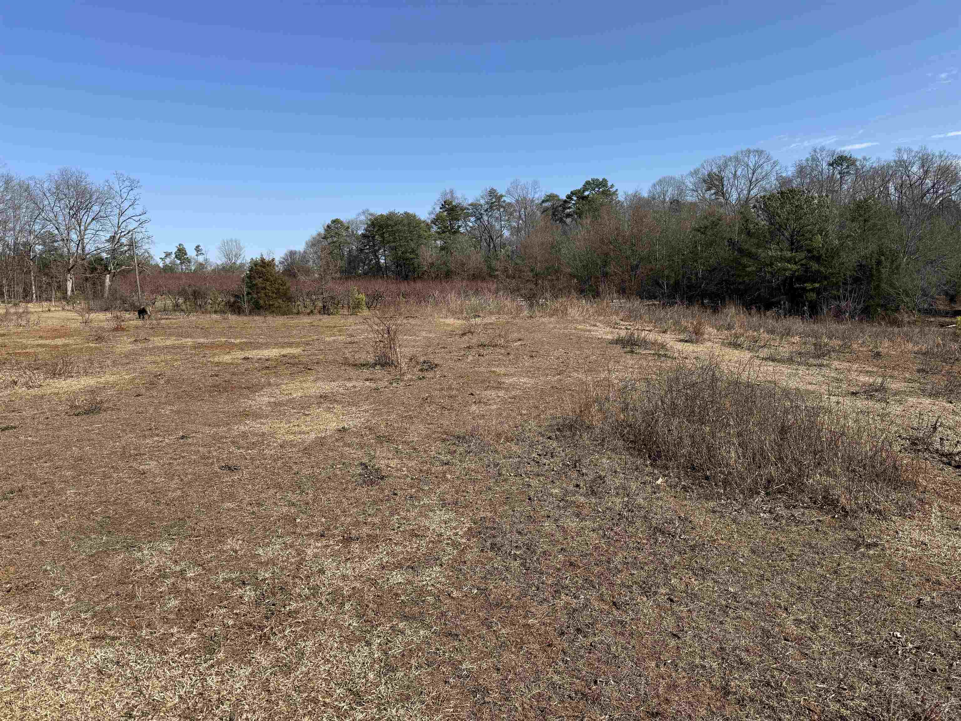 895 Mahaffey Cooley Road Chesnee, SC 29323 - Photo 13 of 42 Gallery Image 13
