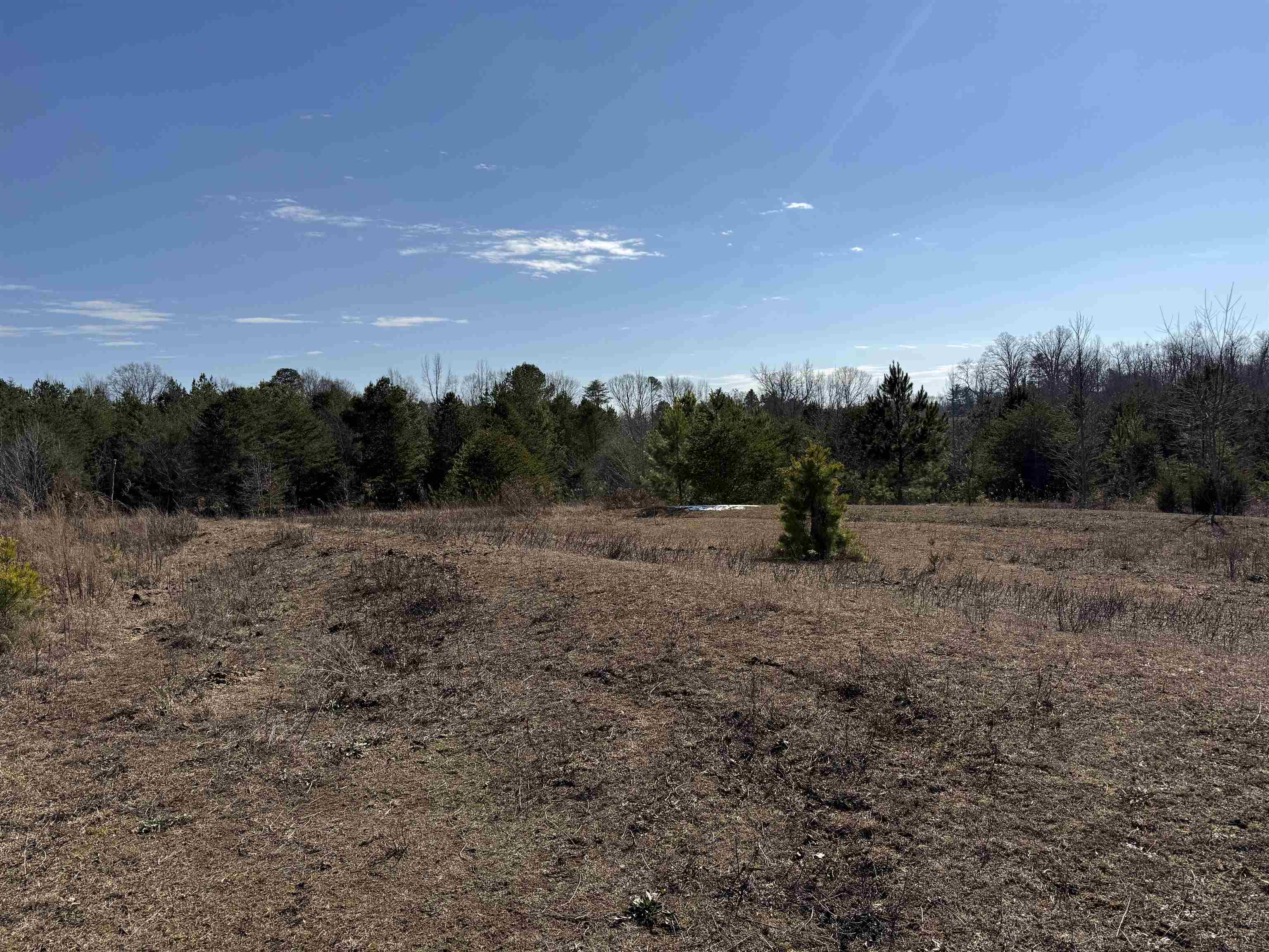 895 Mahaffey Cooley Road Chesnee, SC 29323 - Photo 14 of 42 Gallery Image 14