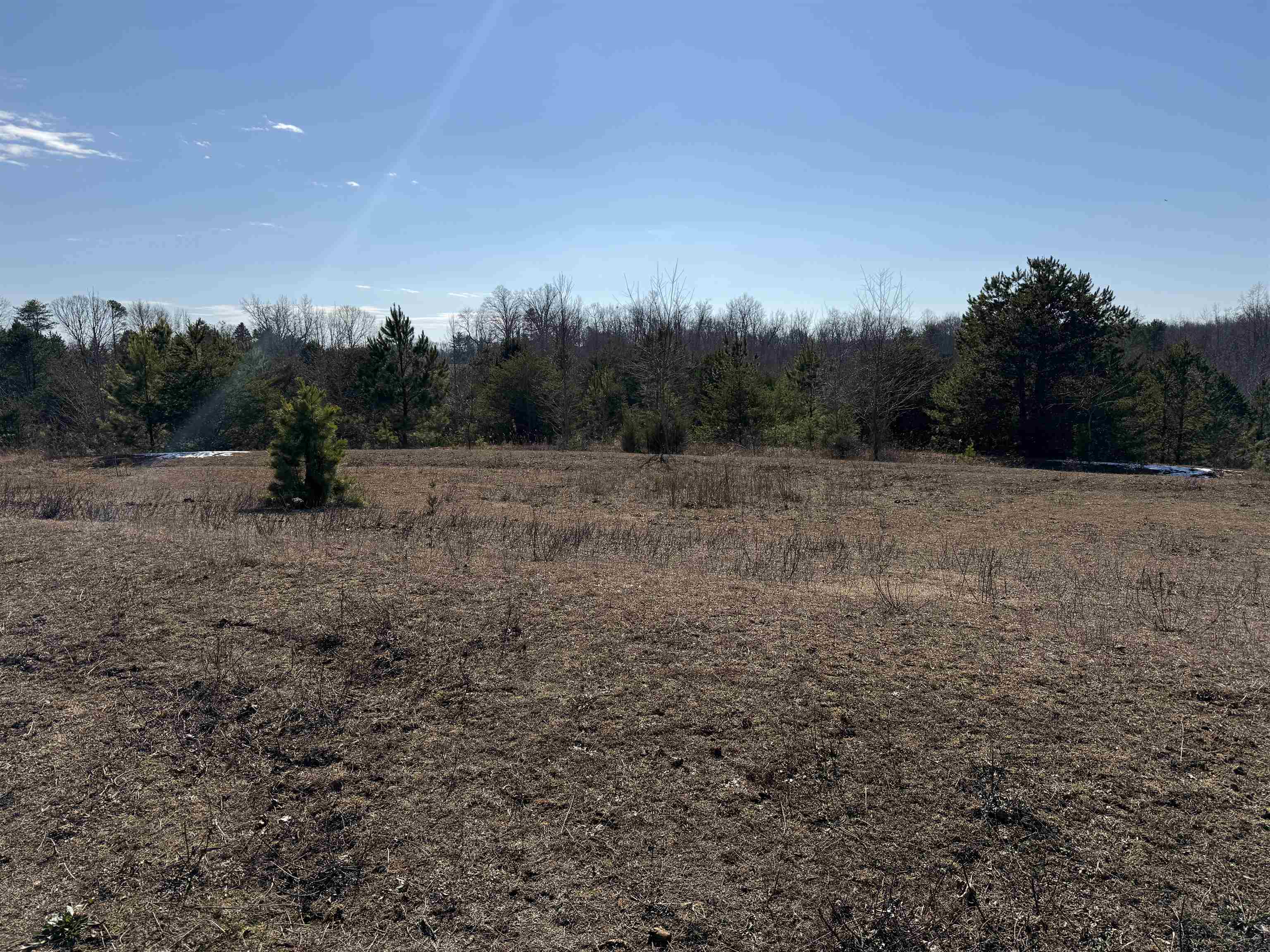 895 Mahaffey Cooley Road Chesnee, SC 29323 - Photo 15 of 42 Gallery Image 15