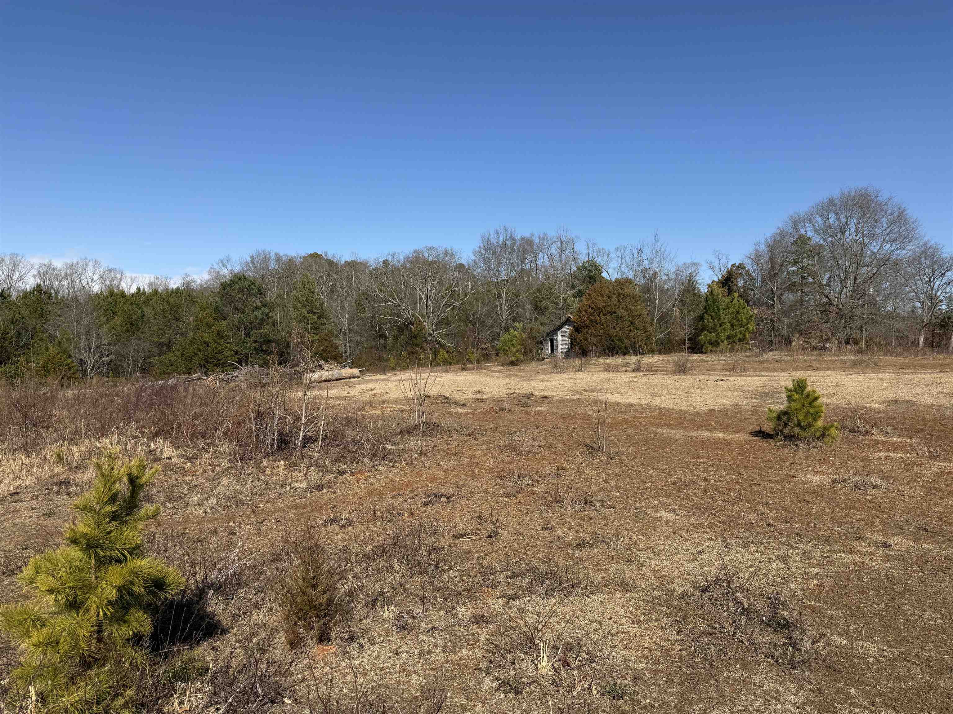 895 Mahaffey Cooley Road Chesnee, SC 29323 - Photo 16 of 42 Gallery Image 16