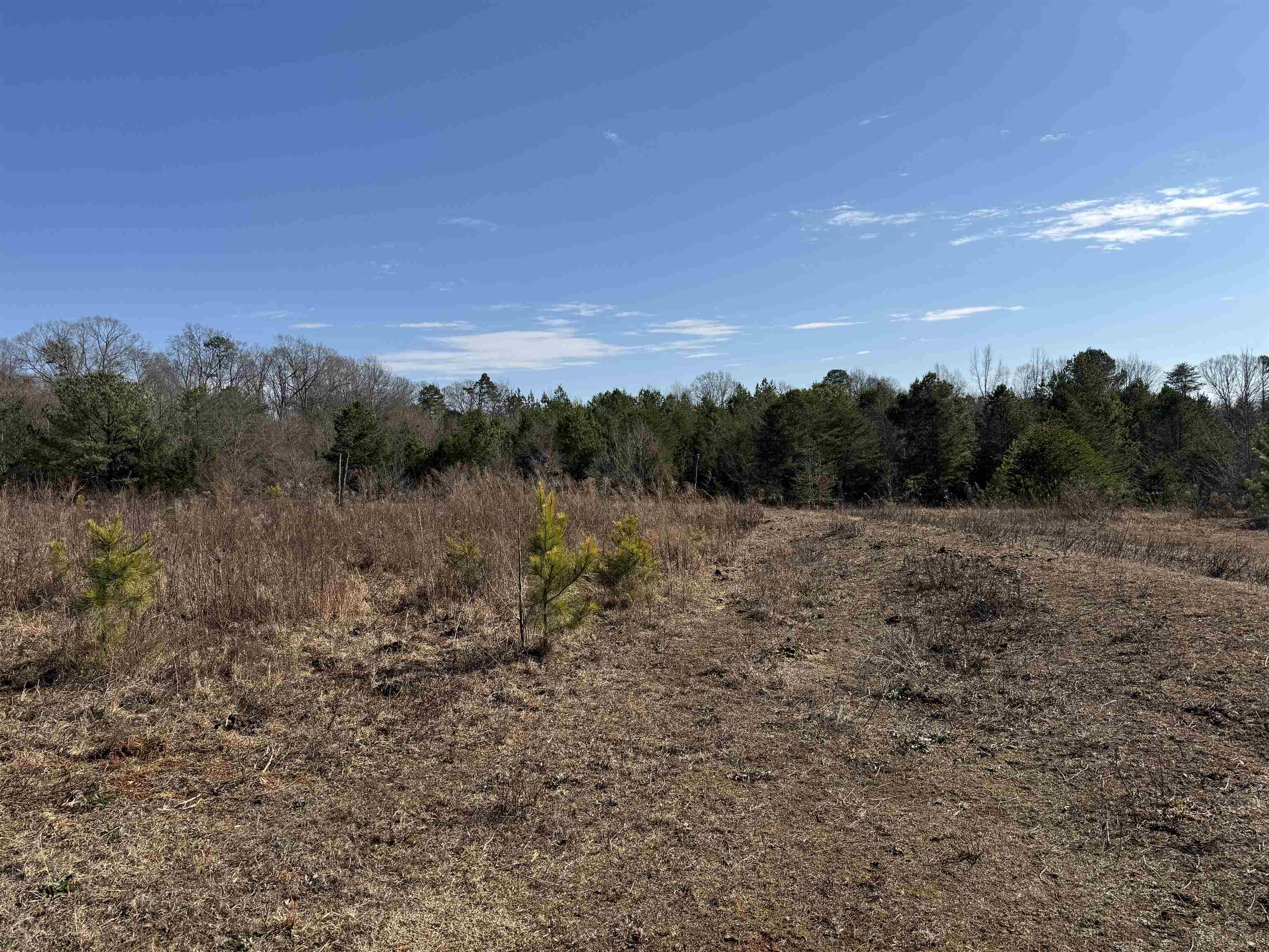 895 Mahaffey Cooley Road Chesnee, SC 29323 - Photo 17 of 42 Gallery Image 17