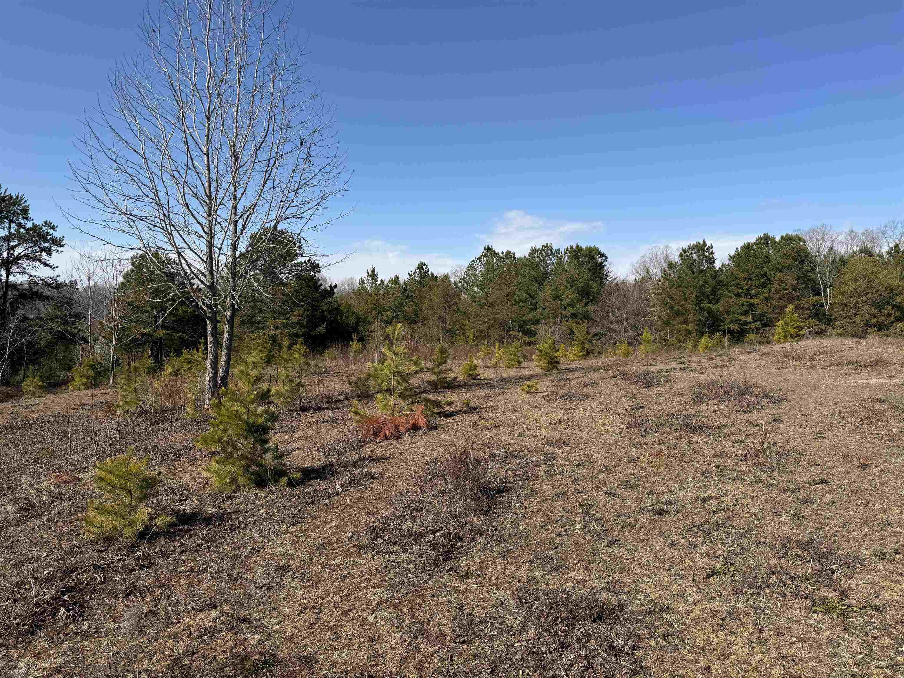 895 Mahaffey Cooley Road Chesnee, SC 29323 - Photo 18 of 42 Gallery Image 18