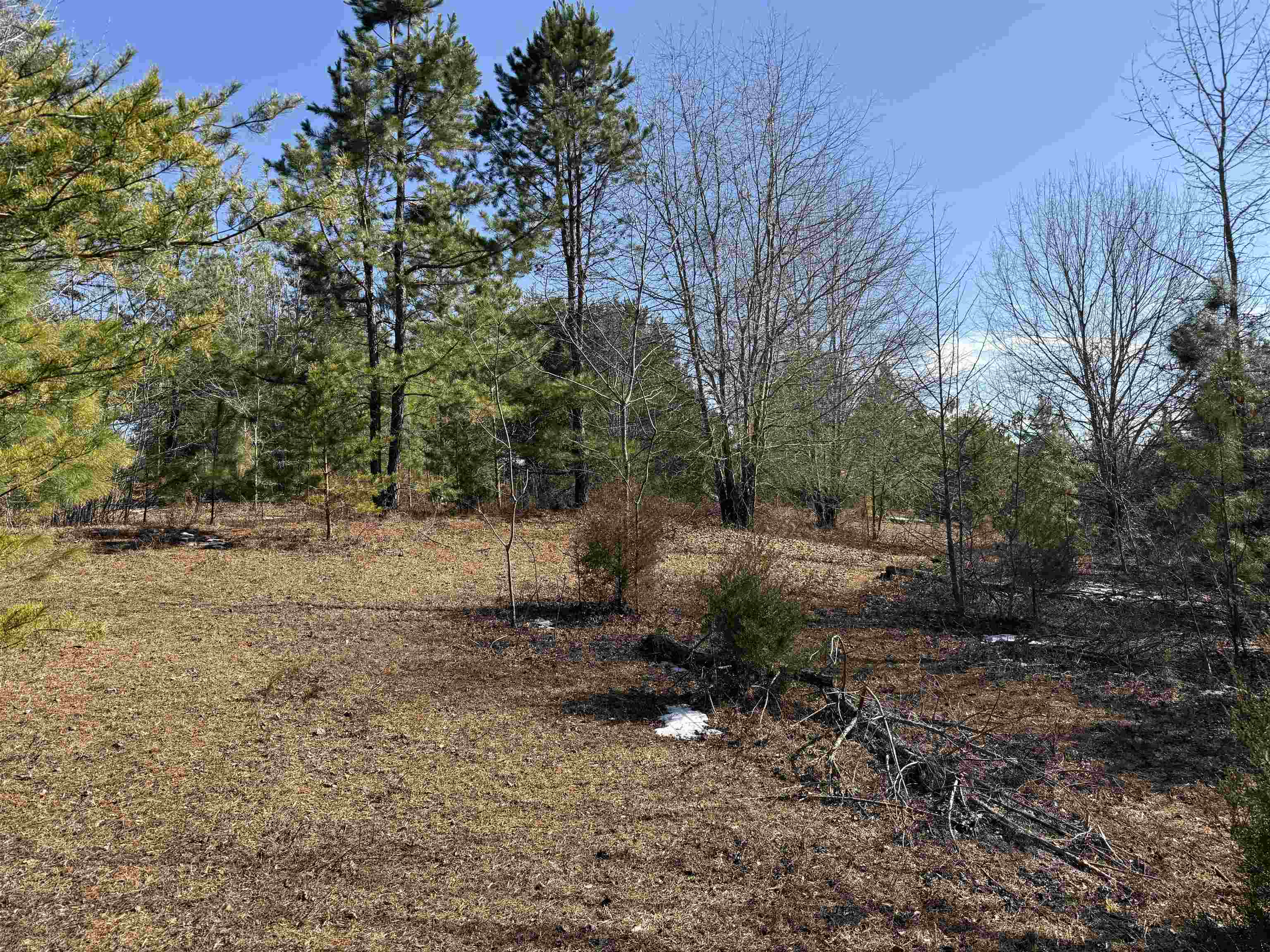 895 Mahaffey Cooley Road Chesnee, SC 29323 - Photo 21 of 42 Gallery Image 21