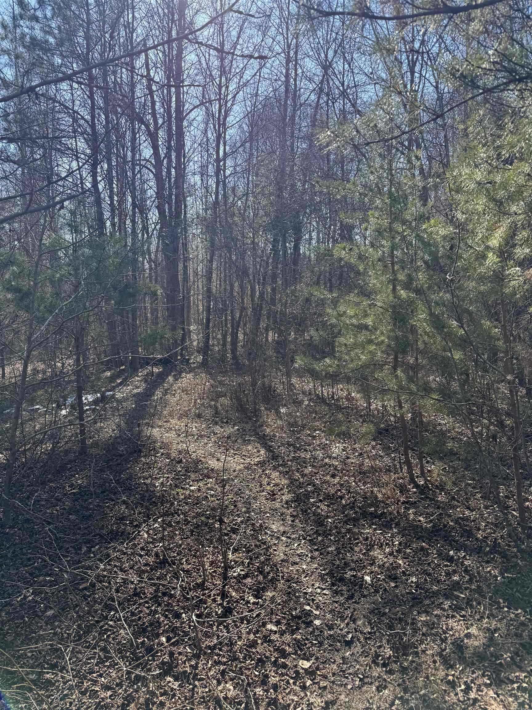 895 Mahaffey Cooley Road Chesnee, SC 29323 - Photo 24 of 42 Gallery Image 24