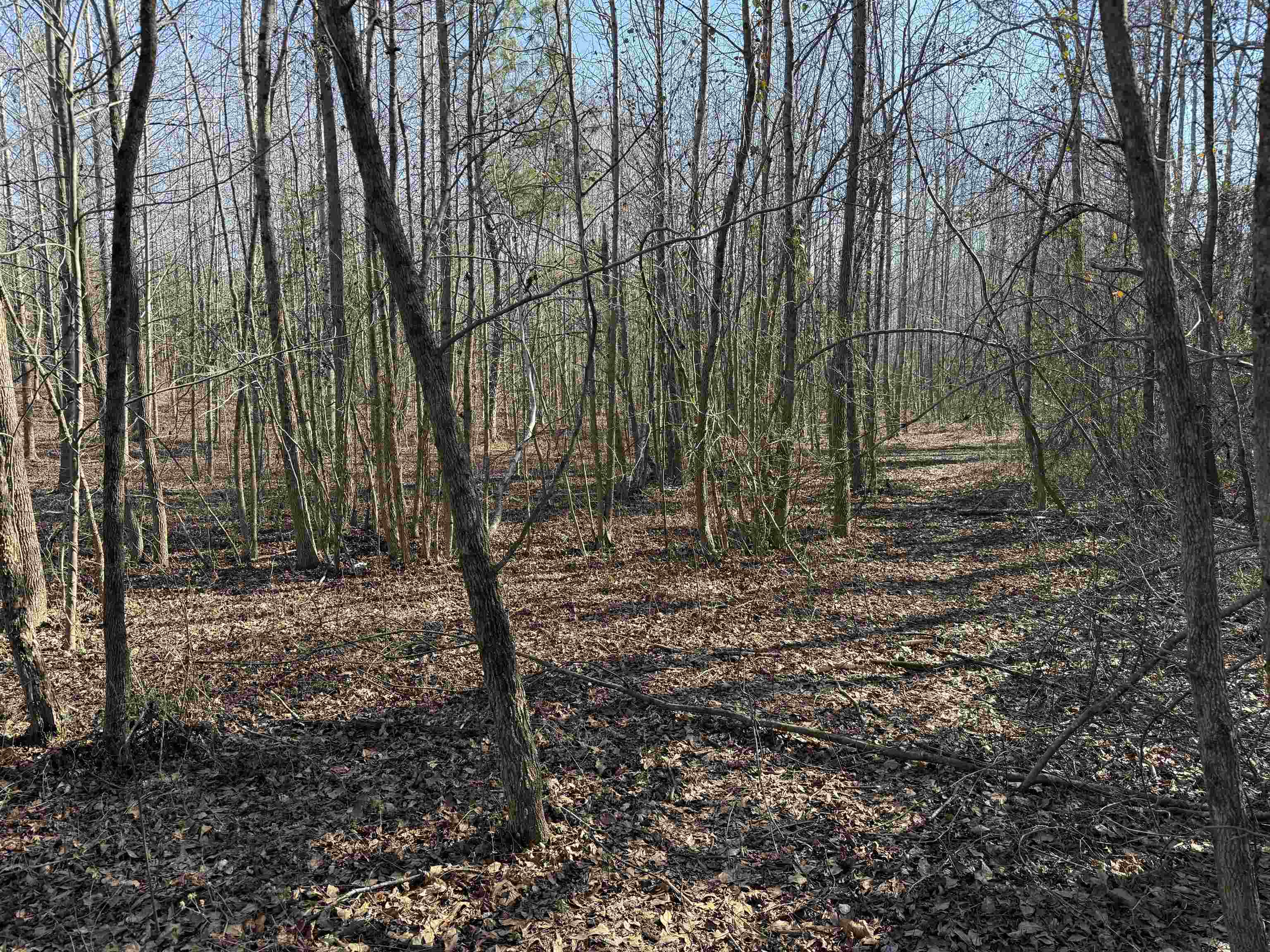 895 Mahaffey Cooley Road Chesnee, SC 29323 - Photo 27 of 42 Gallery Image 27