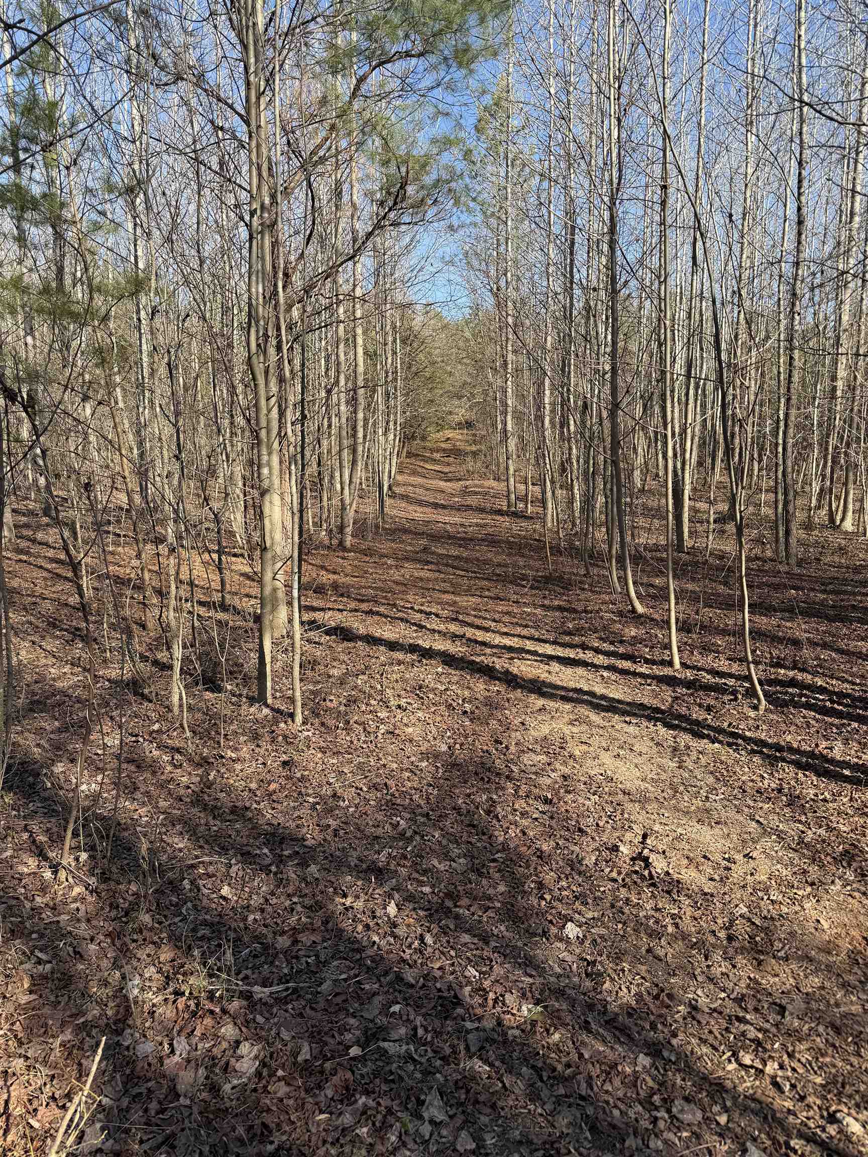 895 Mahaffey Cooley Road Chesnee, SC 29323 - Photo 28 of 42 Gallery Image 28