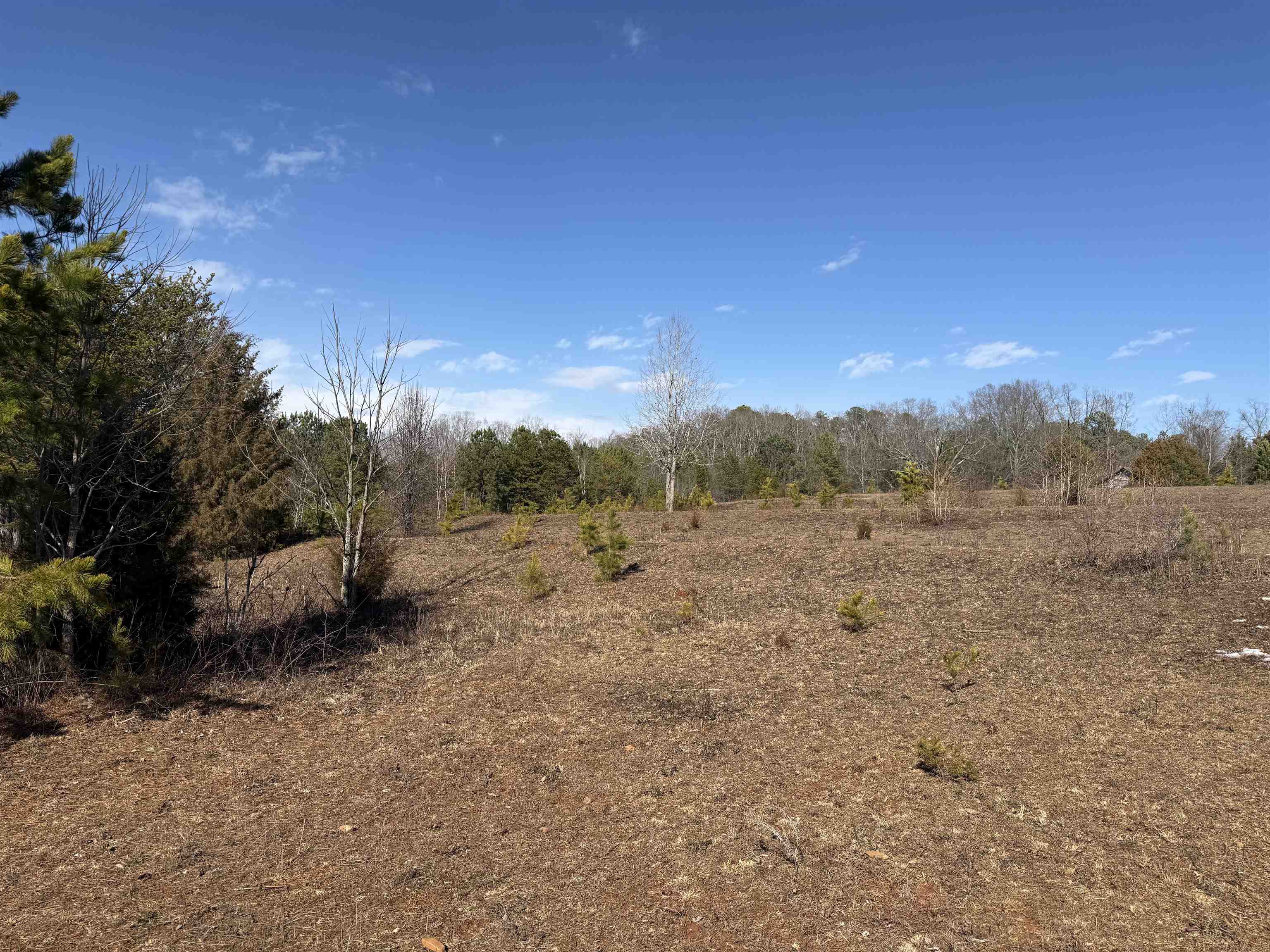 895 Mahaffey Cooley Road Chesnee, SC 29323 - Photo 30 of 42 Gallery Image 30