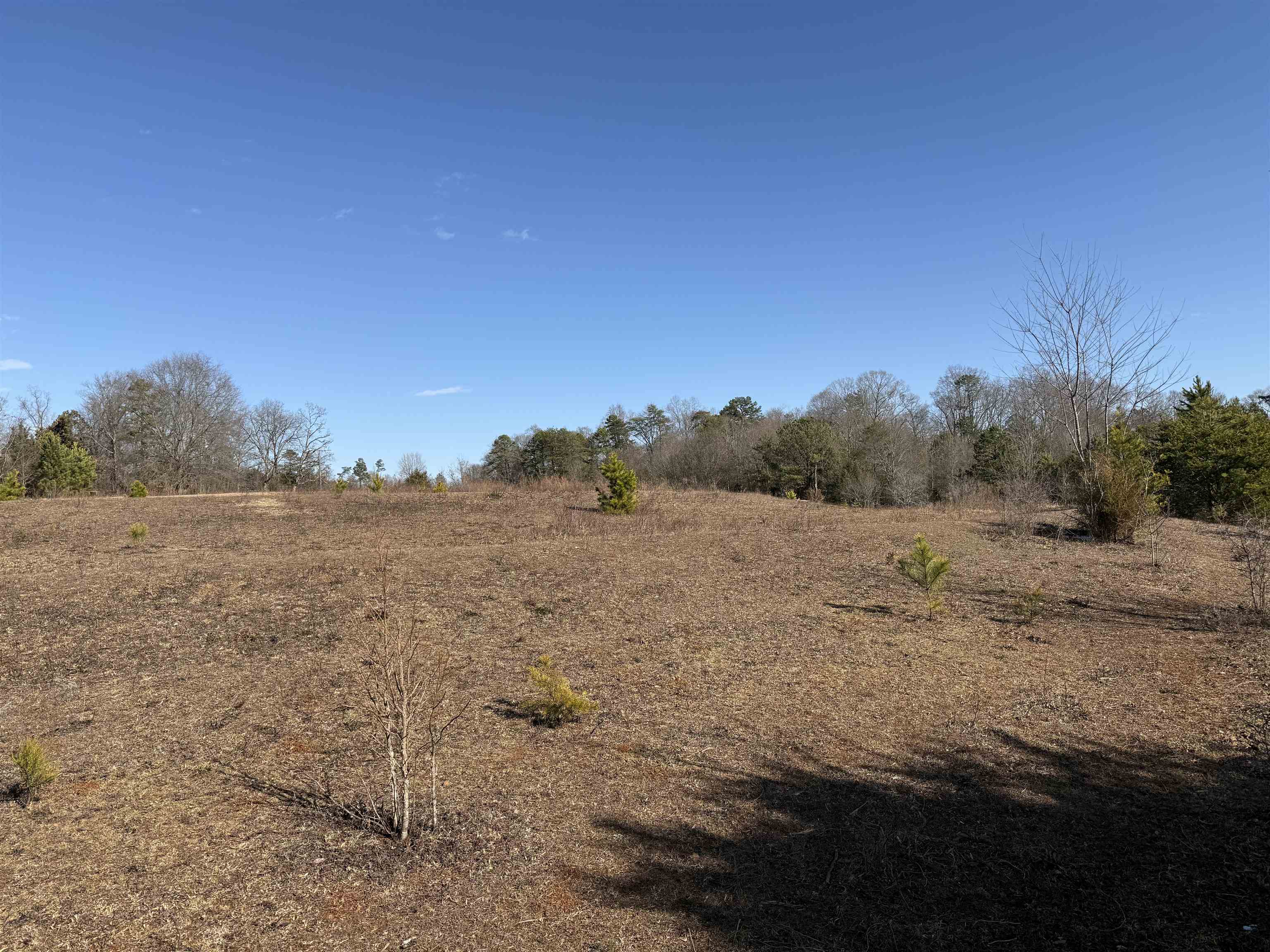 895 Mahaffey Cooley Road Chesnee, SC 29323 - Photo 31 of 42 Gallery Image 31