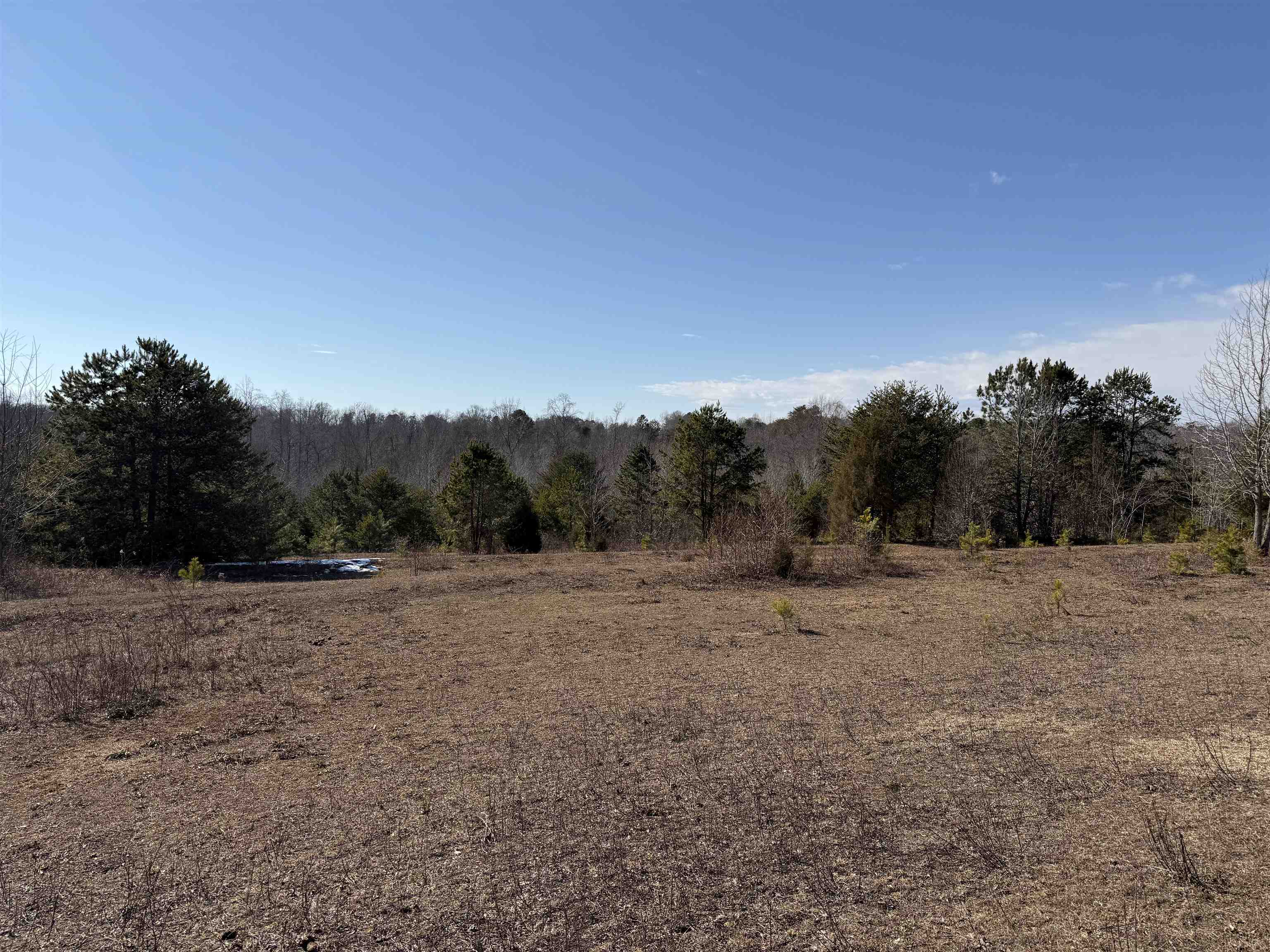 895 Mahaffey Cooley Road Chesnee, SC 29323 - Photo 33 of 42 Gallery Image 33