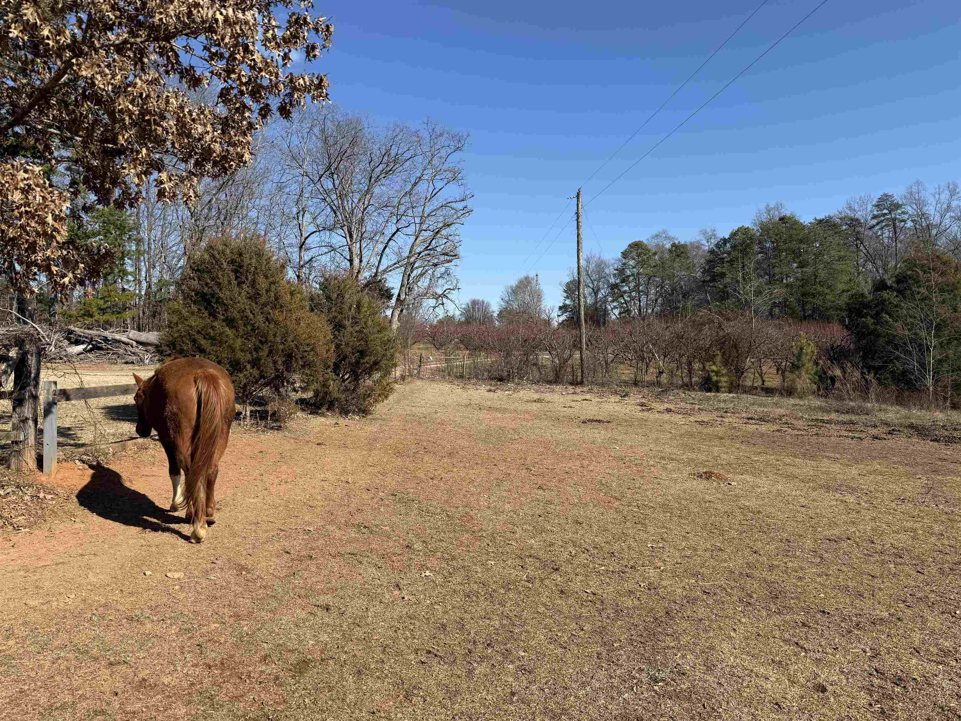 895 Mahaffey Cooley Road Chesnee, SC 29323 - Photo 35 of 42 Gallery Image 35