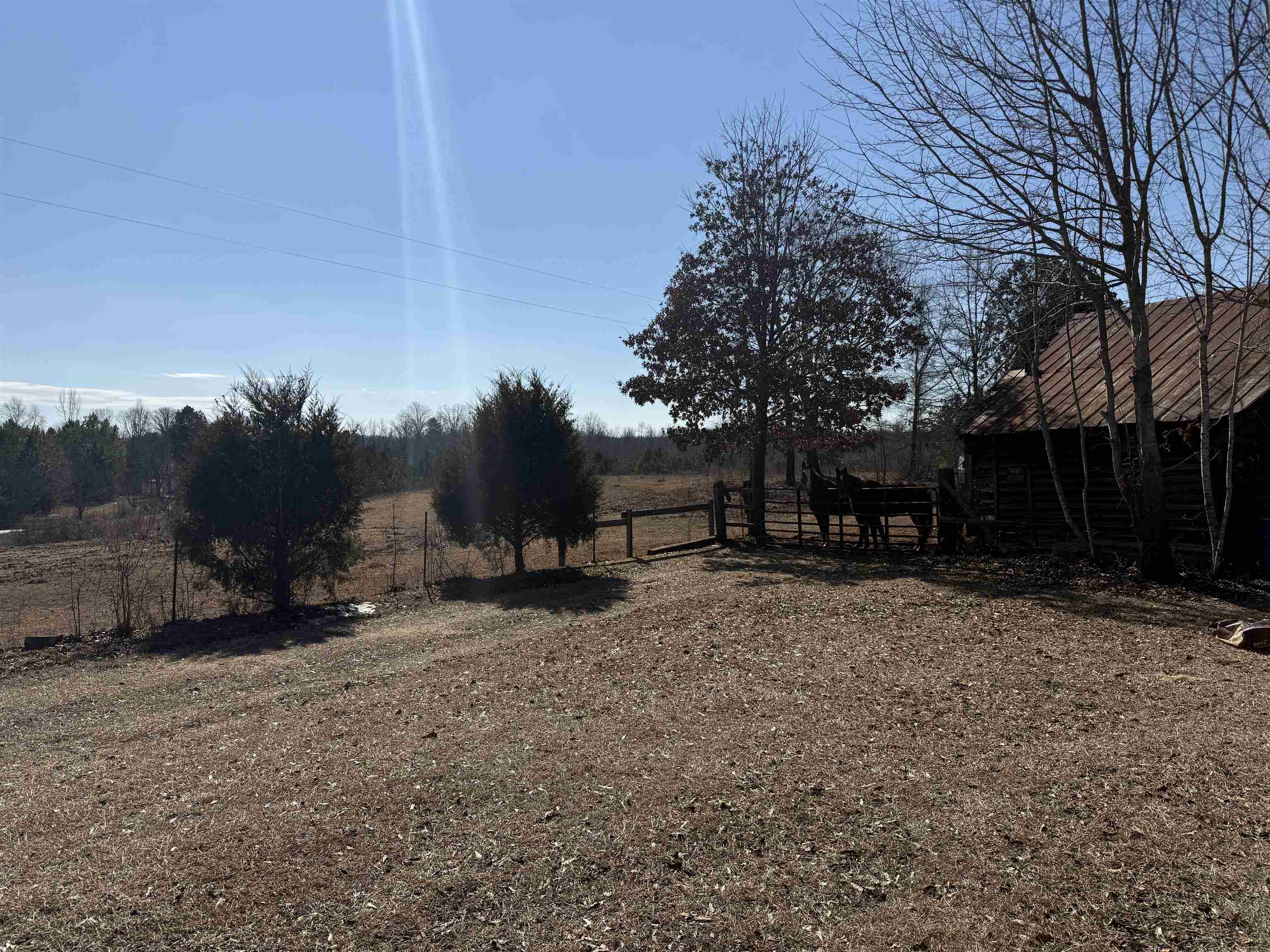 895 Mahaffey Cooley Road Chesnee, SC 29323 - Photo 4 of 42 Gallery Image 4