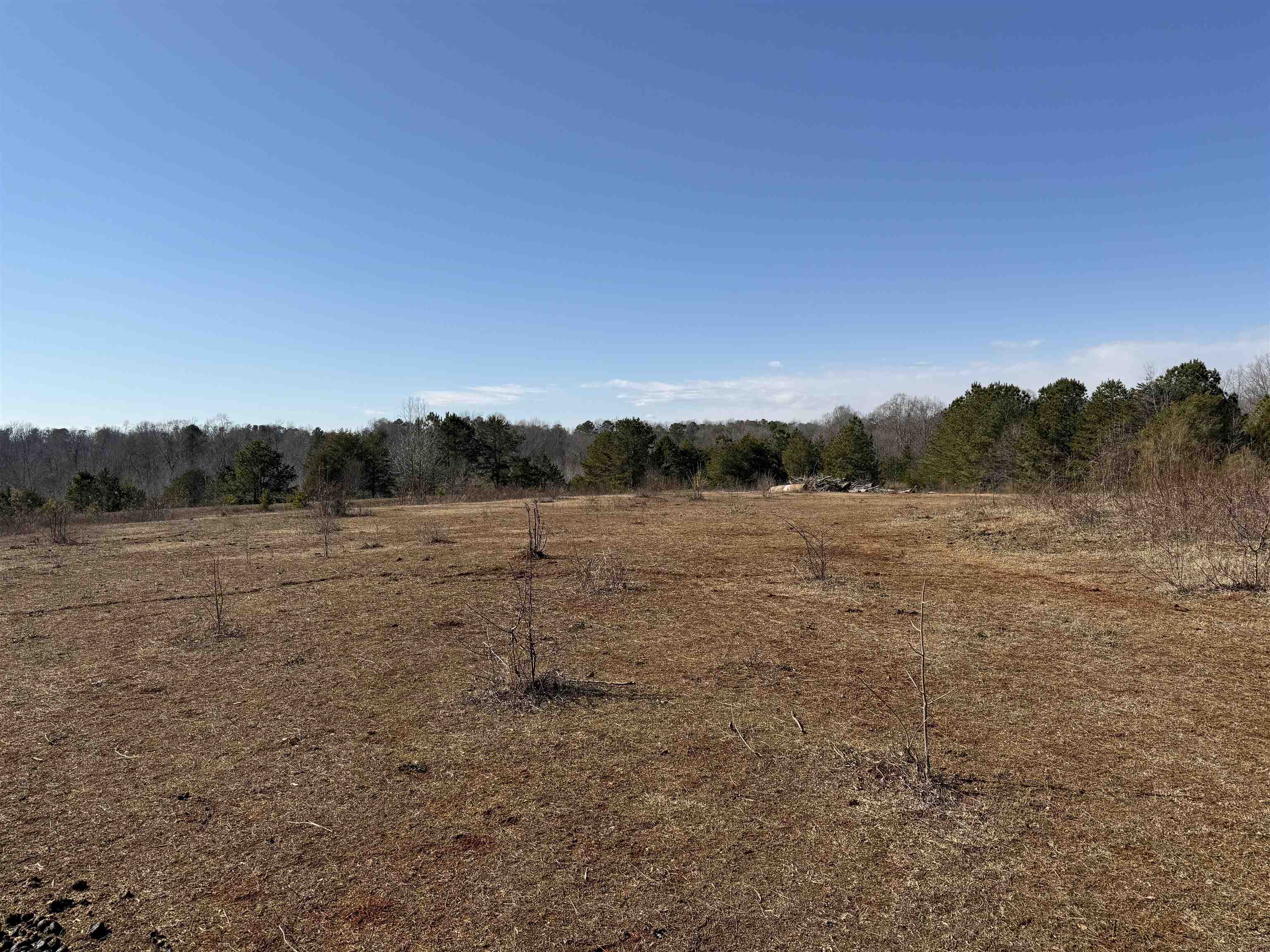 895 Mahaffey Cooley Road Chesnee, SC 29323 - Photo 8 of 42 Gallery Image 8