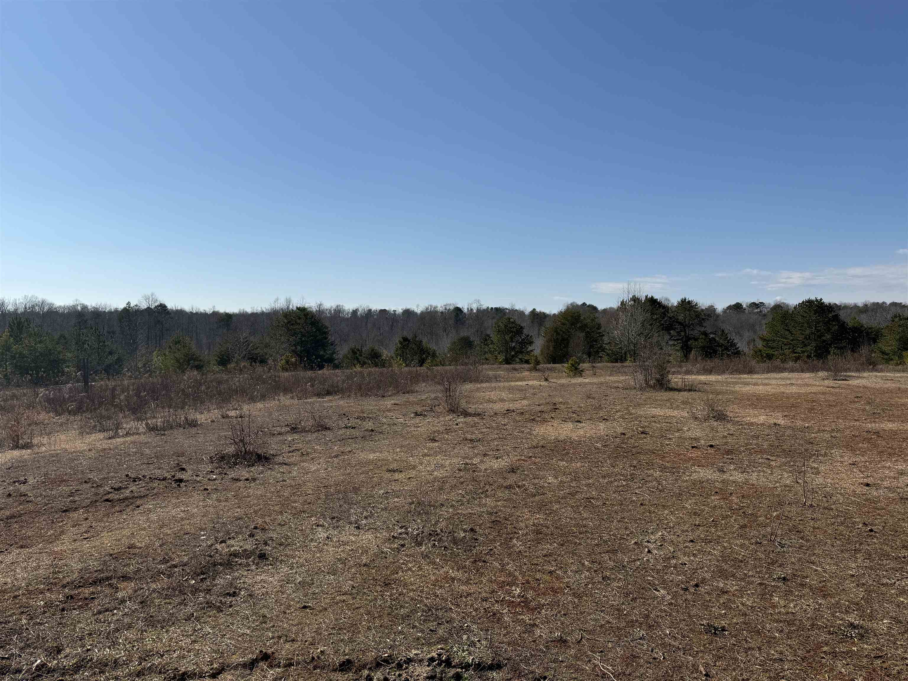 895 Mahaffey Cooley Road Chesnee, SC 29323 - Photo 10 of 42 Gallery Image 10