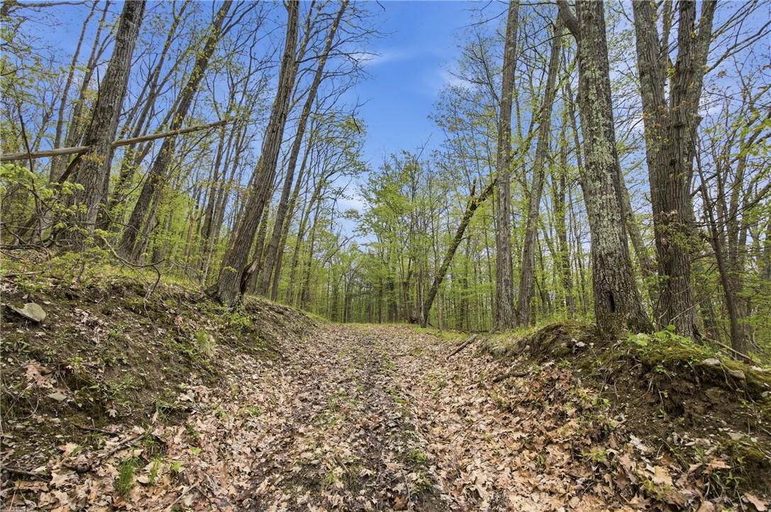 Silvernail Road Hammondsport, NY 14840 - Photo 7 of 25