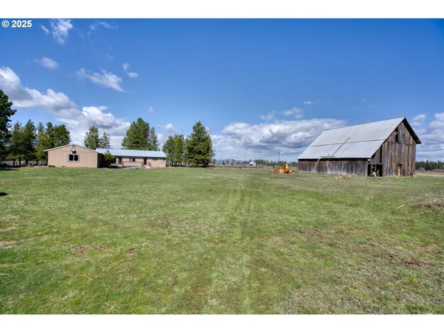 a view of a lake with a tree