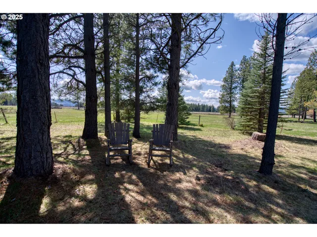 a view of a garden with lawn chairs