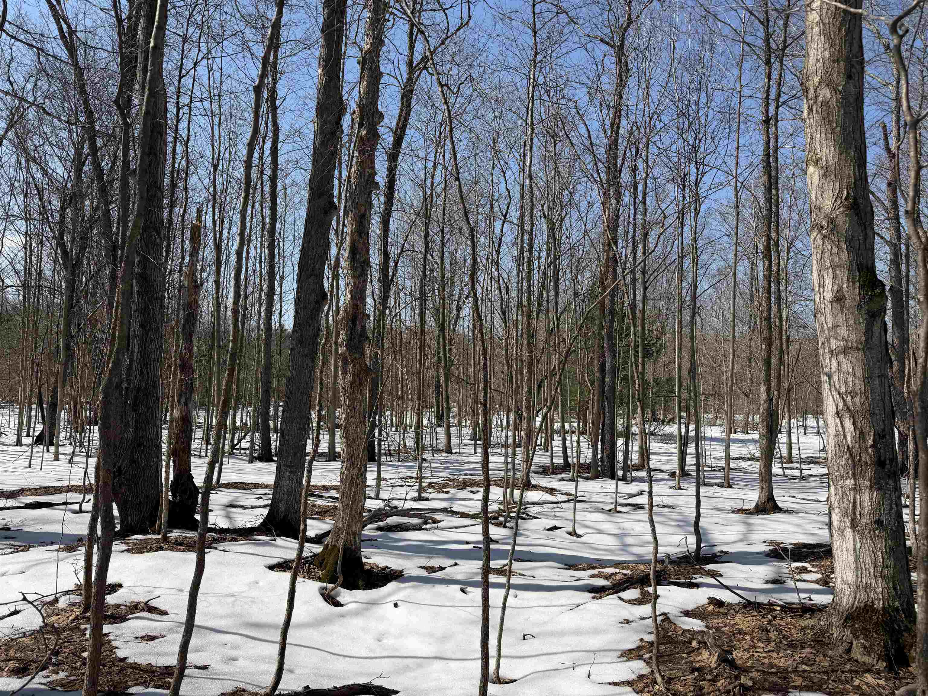 South Drew Road Empire, MI 49630 - Photo 14 of 28 Gallery Image 14