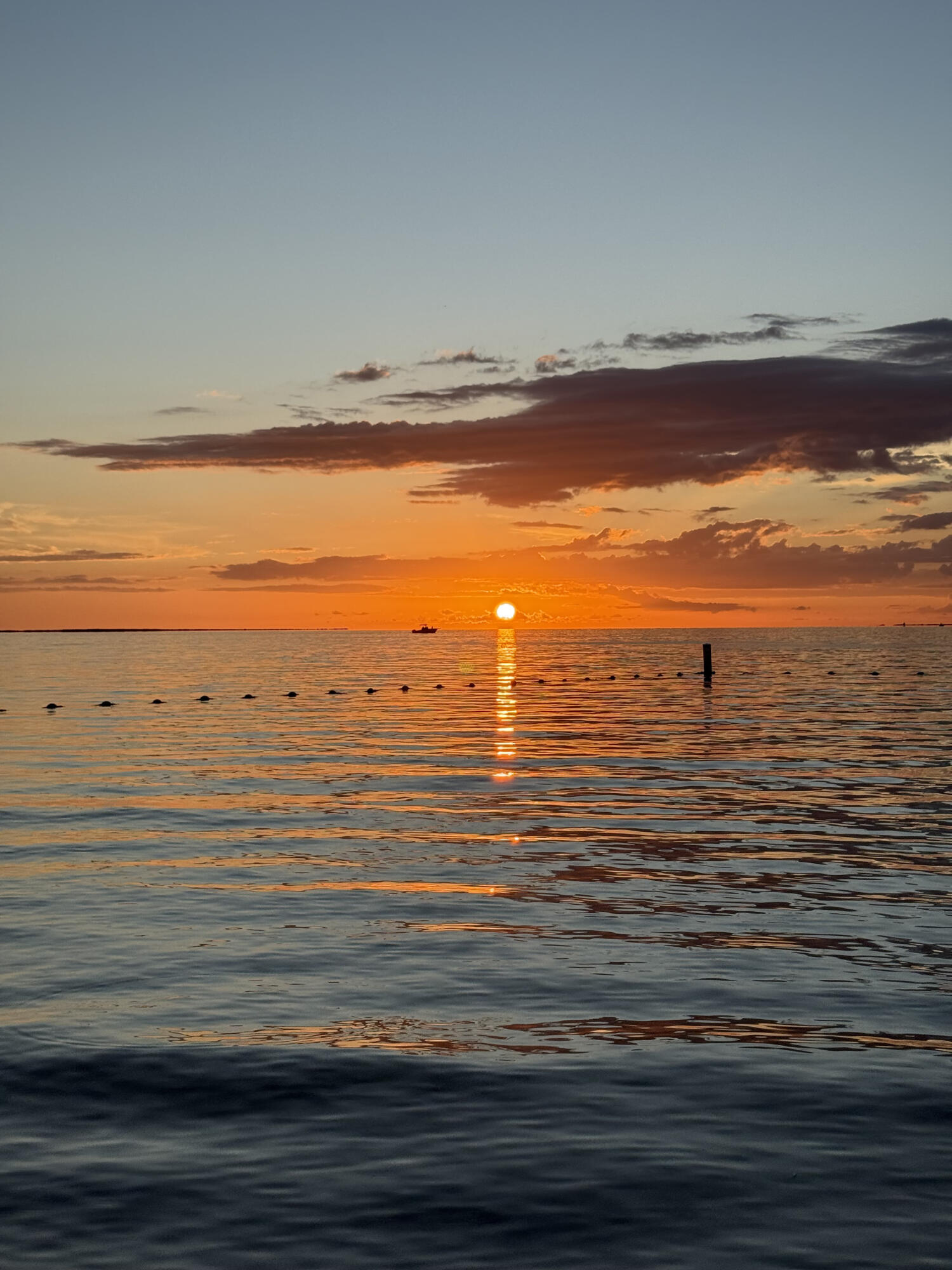 96000 Overseas Highway, Unit C7 Key Largo, FL 33037 - Photo 6 of 14 12) 61854-68a4edeba1bbc