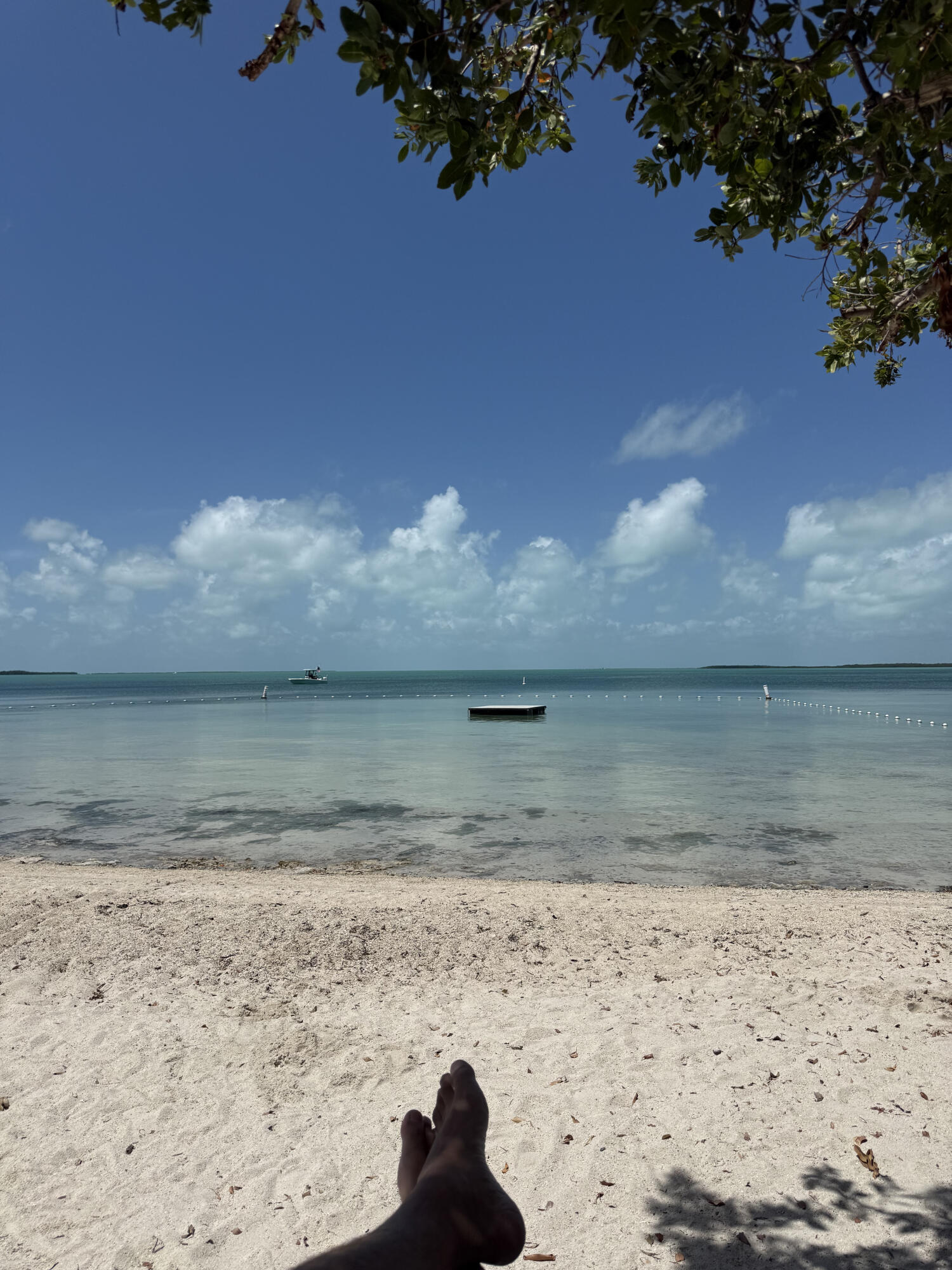96000 Overseas Highway, Unit C7 Key Largo, FL 33037 - Photo 8 of 14 a view of a wooden wall with a yard