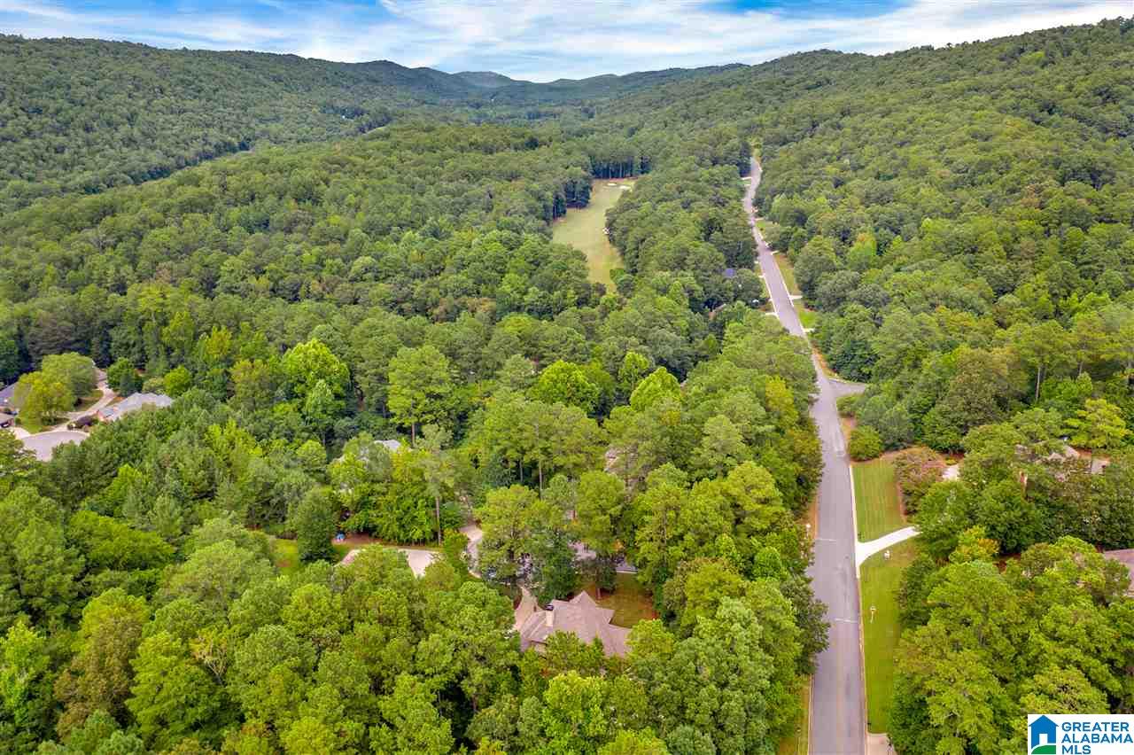 21 Prestwick Circle Oneonta, AL 35121 - Photo 37 of 41