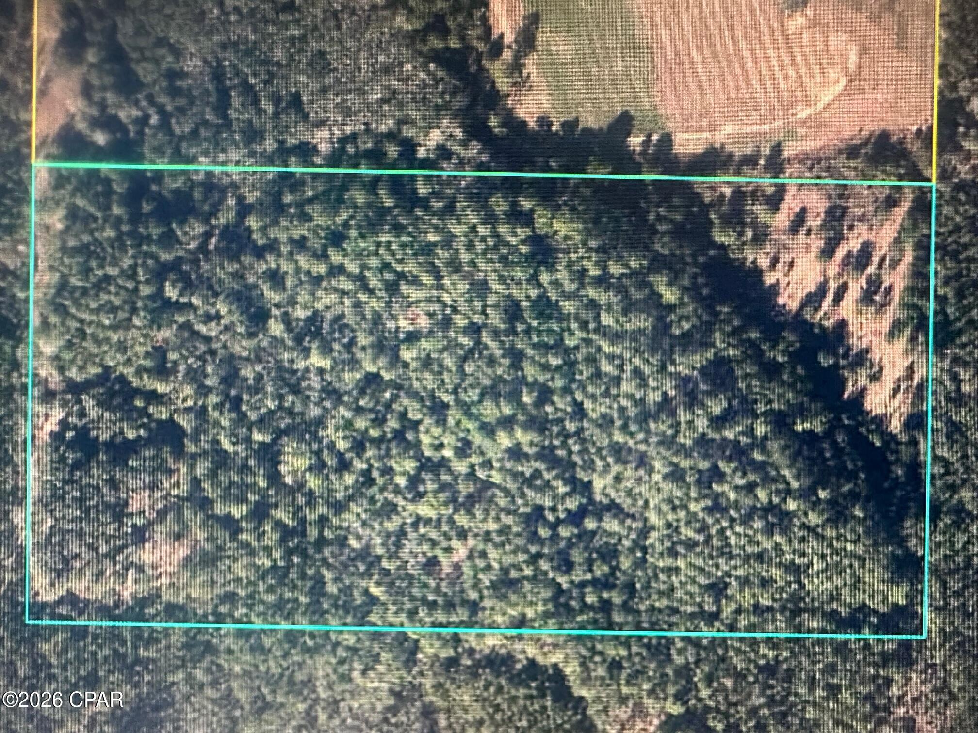 5033 Douglas Ferry Road Caryville, FL 32427 - Photo 11 of 11