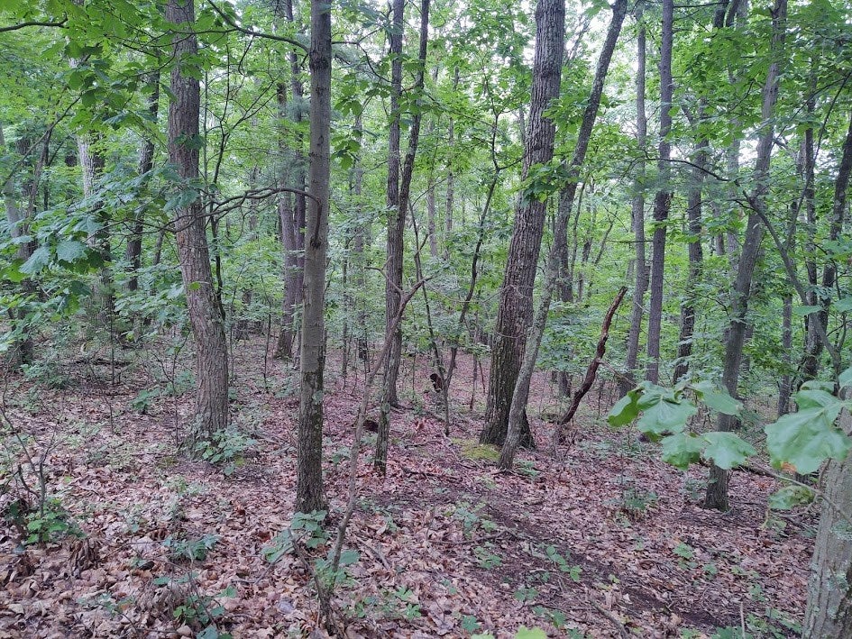 Lot 36 Middle Ridge Road, Unit 36 Hesston, PA 16647 - Photo 6 of 8 Gallery Image 6
