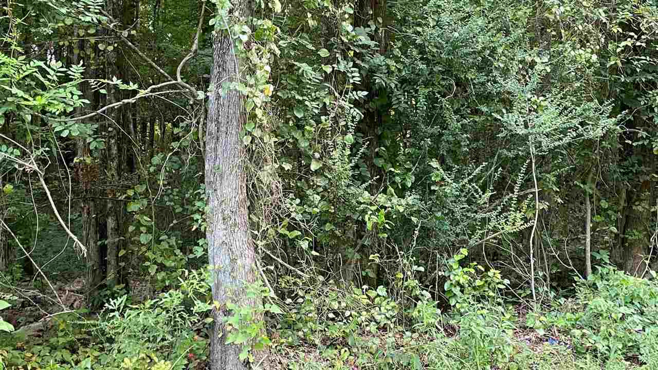 1 Pace Road, Unit NO NUMBER Forest, MS 39074 - Photo 1 of 2 Photo 1