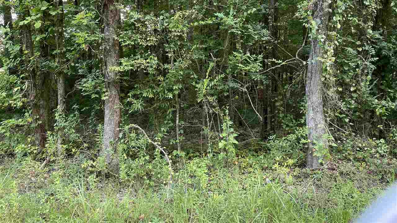 1 Pace Road, Unit NO NUMBER Forest, MS 39074 - Photo 2 of 2 Photo 2