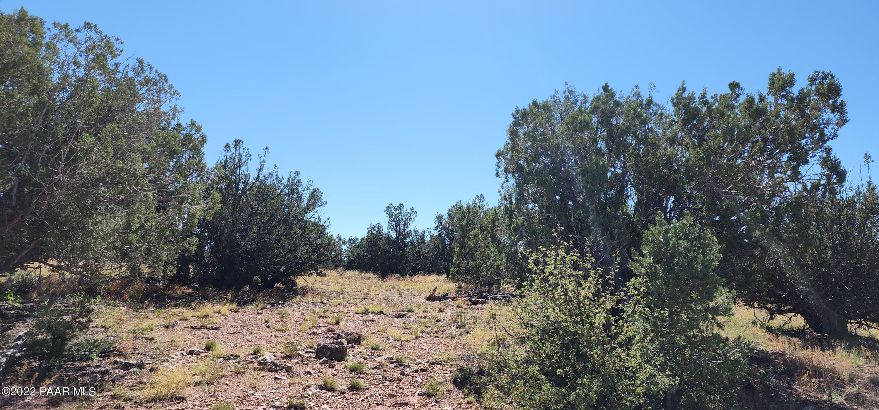 76 Golden Eagle Road Seligman, AZ 86337 - Photo 8 of 8 20221018_122642