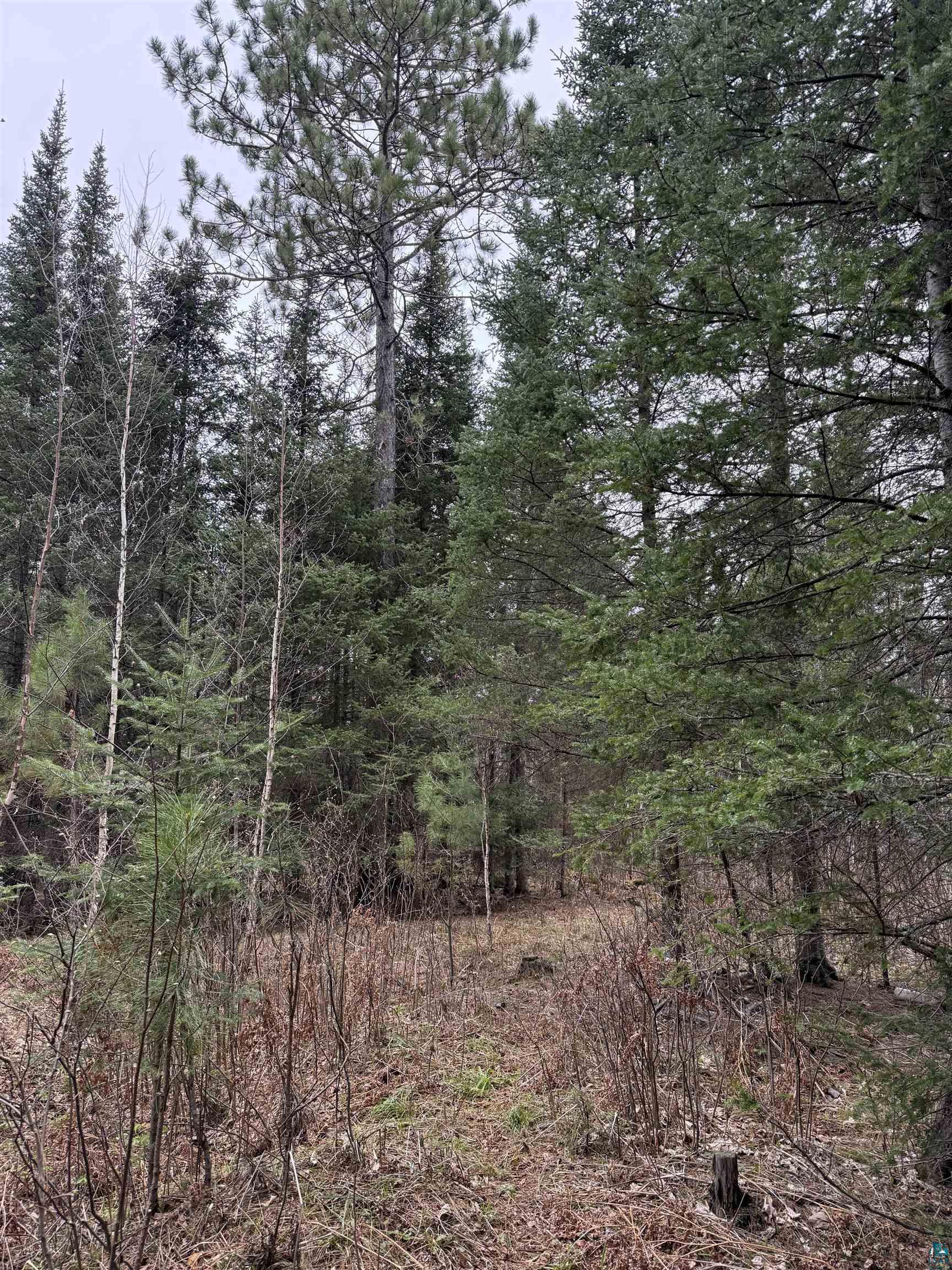 Tbd Scout Camp Road Eveleth, MN 55734 - Photo 14 of 15