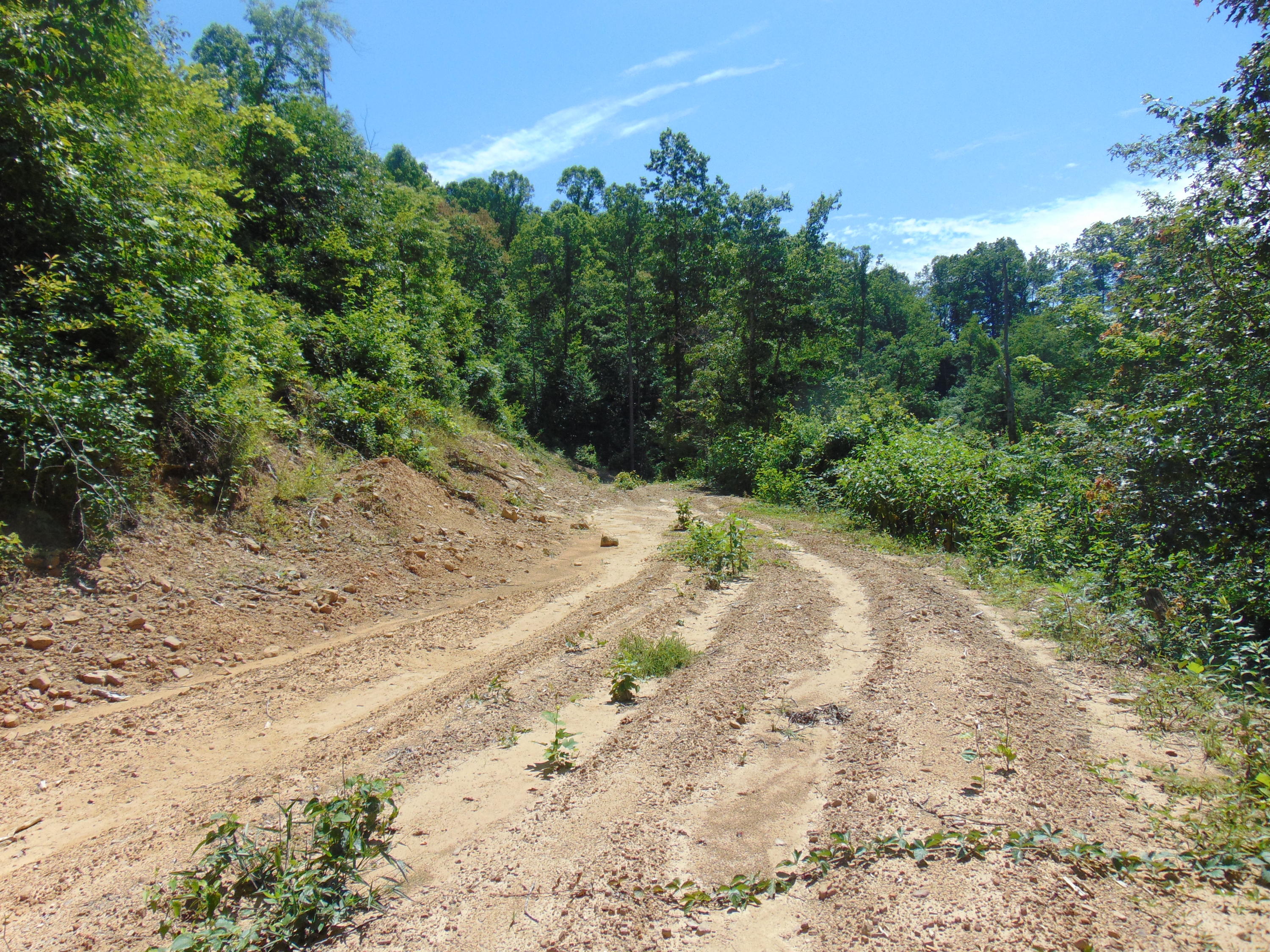 Sims Branch Rd Mount Mount Hope, WV 25880 - Photo 12 of 18 Gallery Image 12