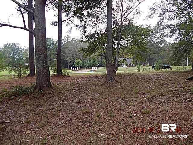 3497 Millry-Buckatunna Road Millry, AL 36558 - Photo 3 of 17 Front Yard