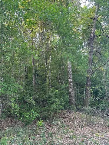 $79,000 | Water Road, Clermont, FL 34714