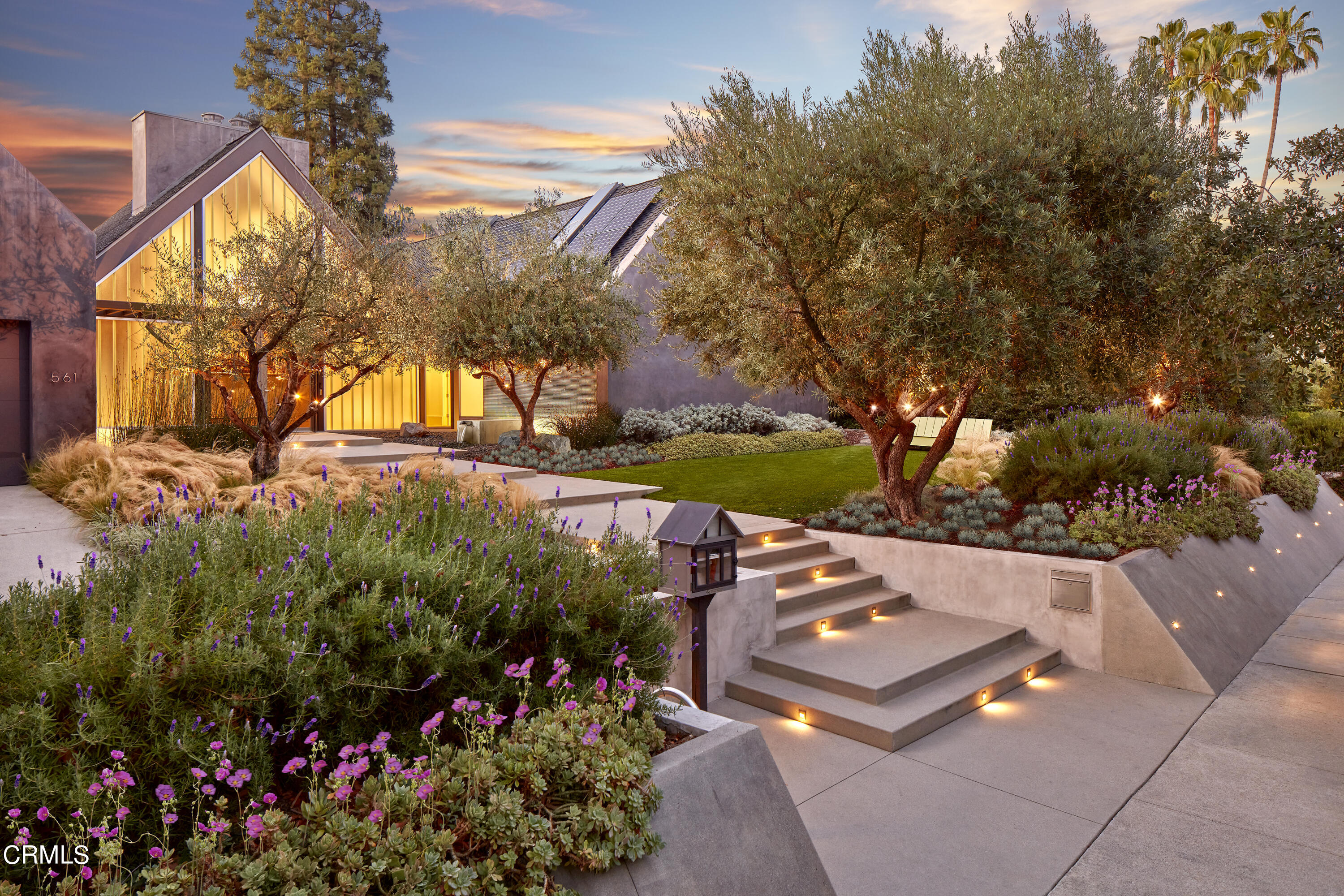 a picture of flowers