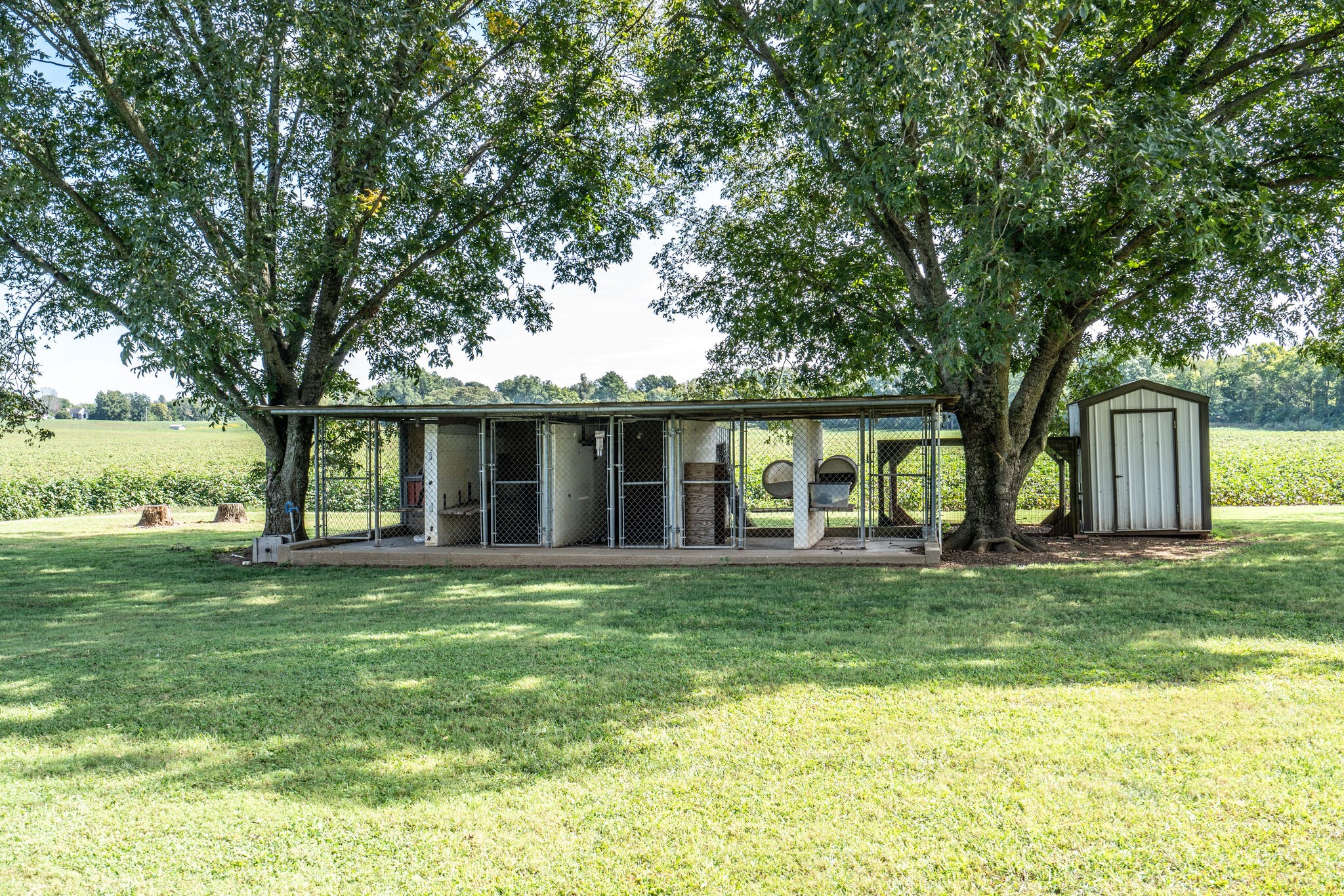 232 Post Oak Road Belvidere, TN 37306 - Photo 38 of 50 Gallery Image 38
