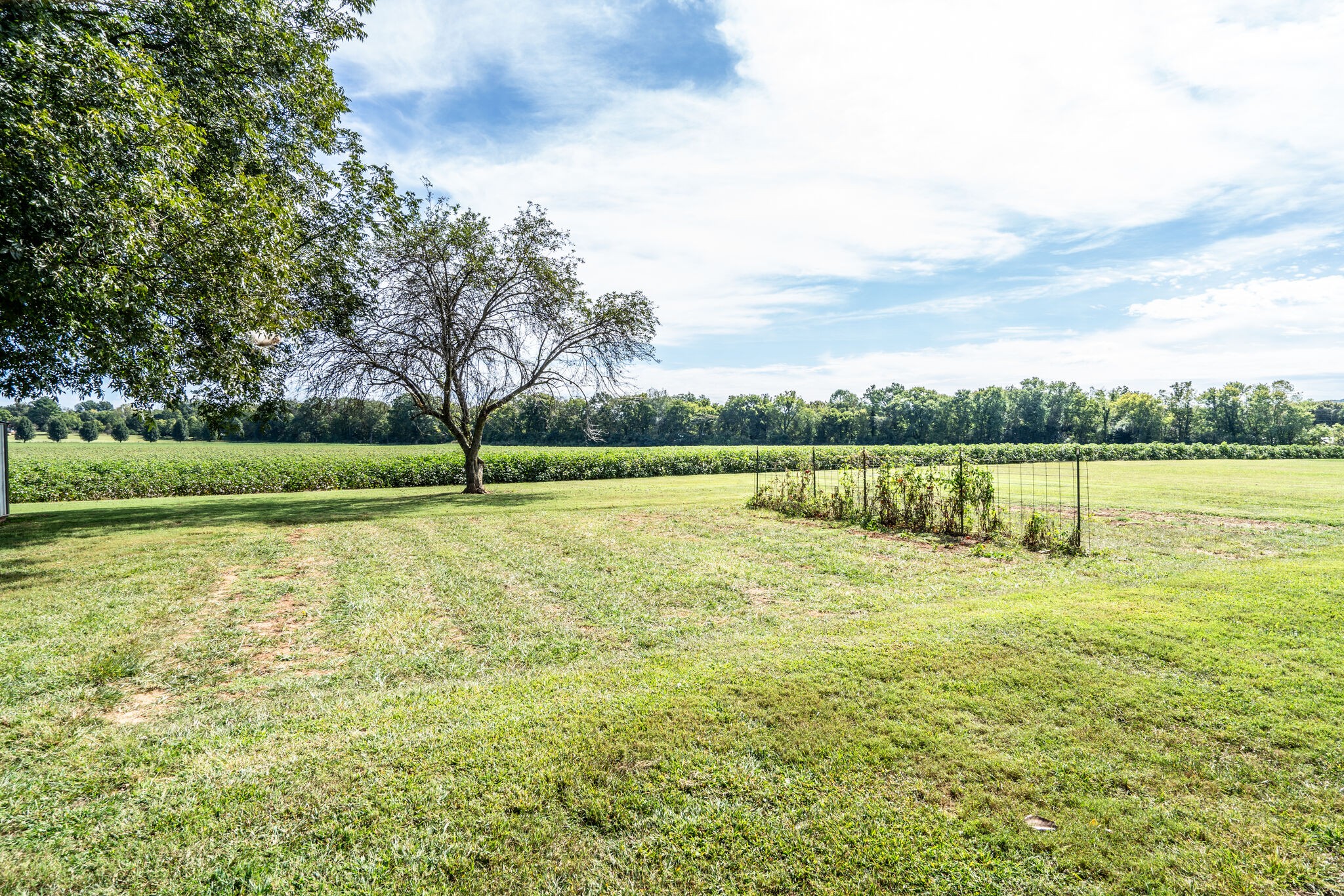 232 Post Oak Road Belvidere, TN 37306 - Photo 40 of 50 Gallery Image 40
