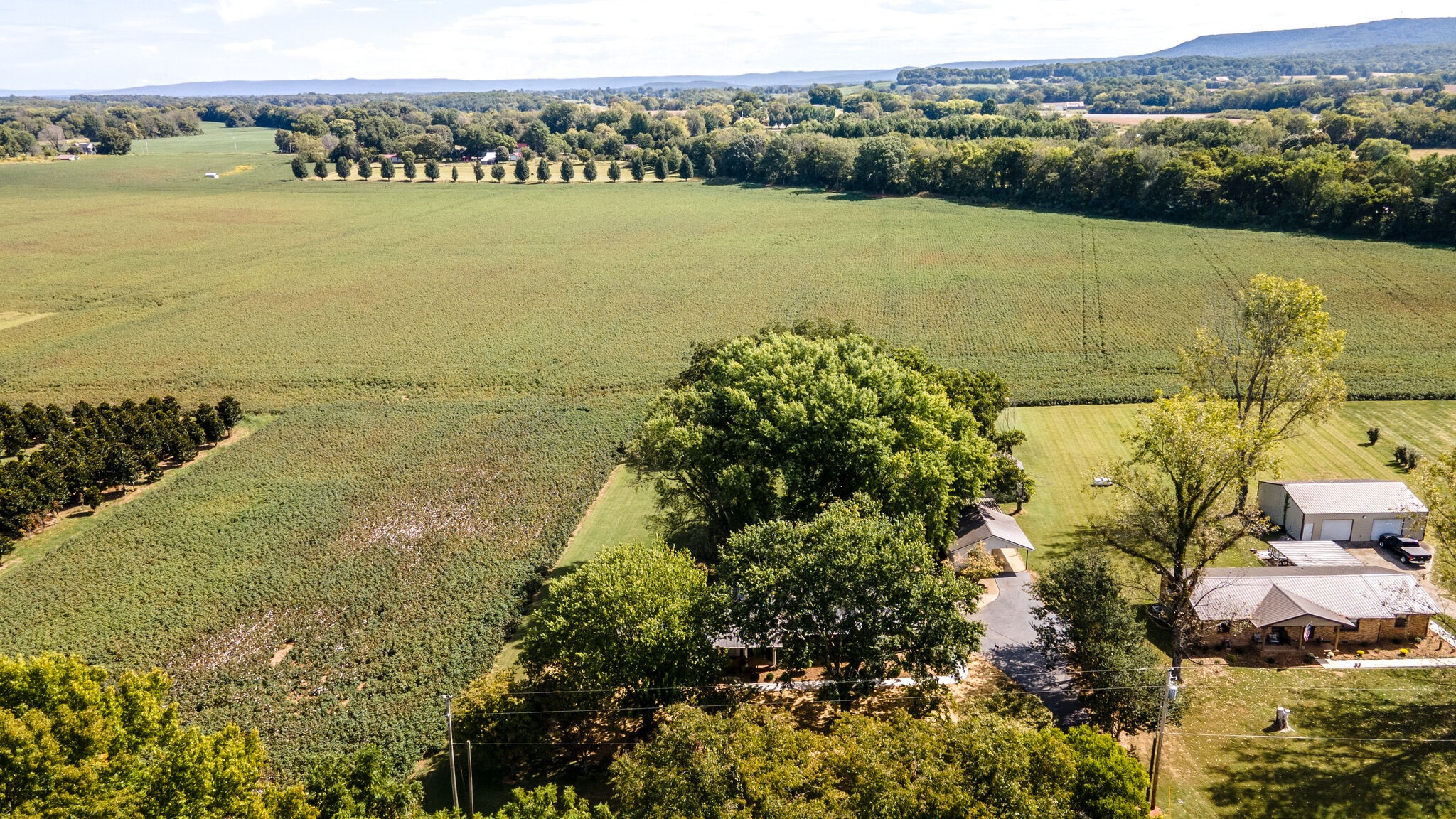 232 Post Oak Road Belvidere, TN 37306 - Photo 42 of 50 Gallery Image 42