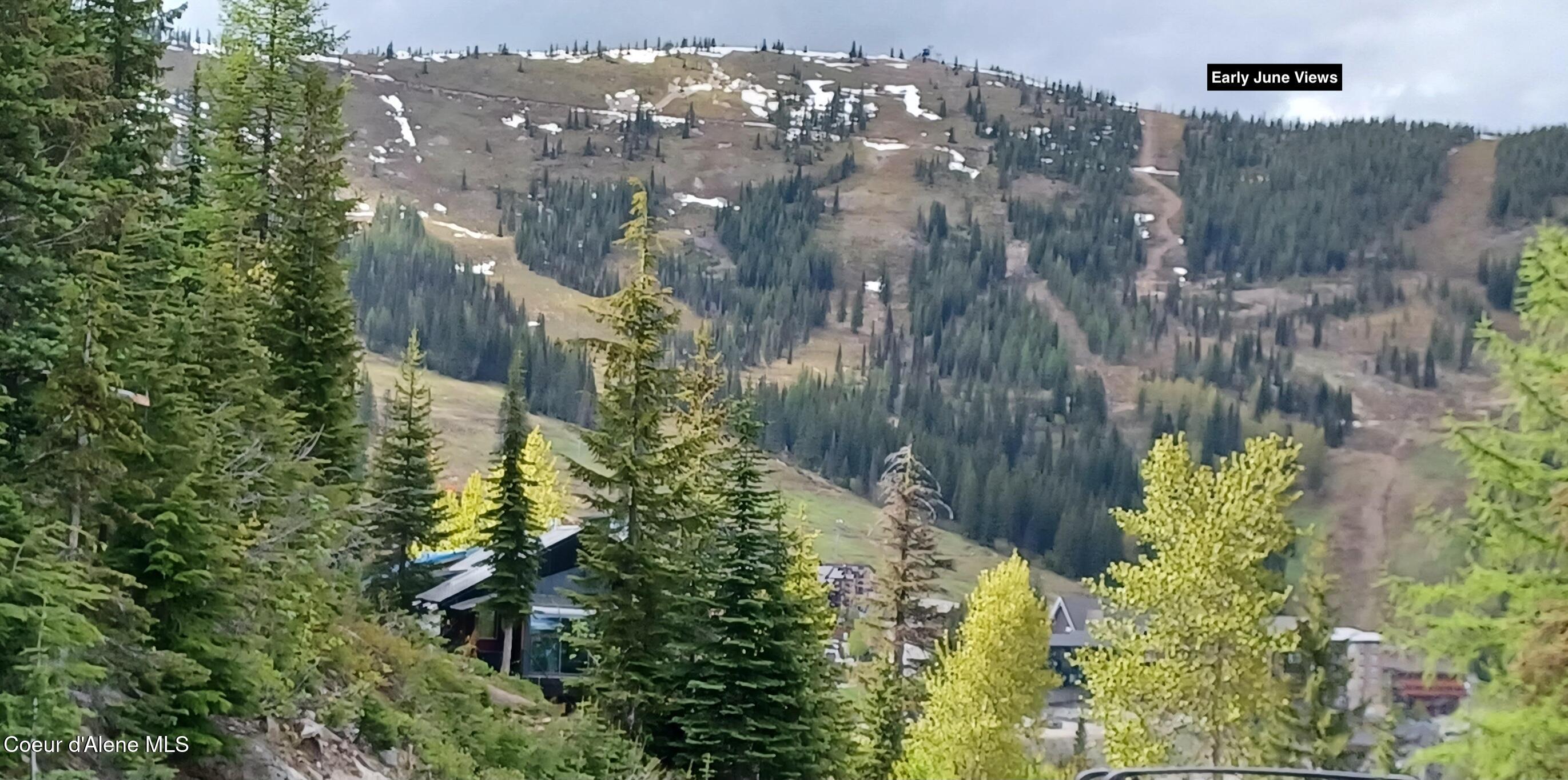 Nna Mogul Hill Road Sandpoint, ID 83864 - Photo 27 of 29 Early June View