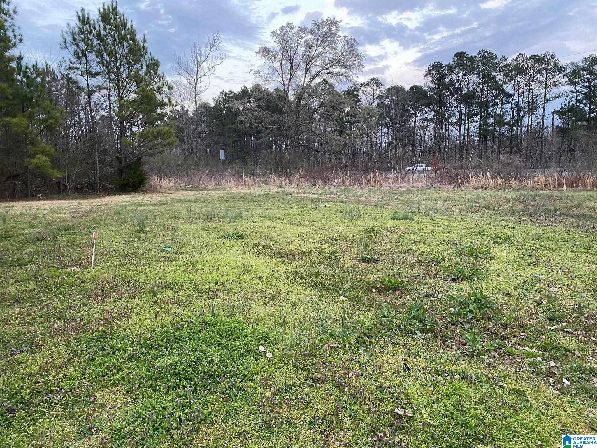 77 Widow Hill Road Hayden, AL 35079 - Photo 16 of 18