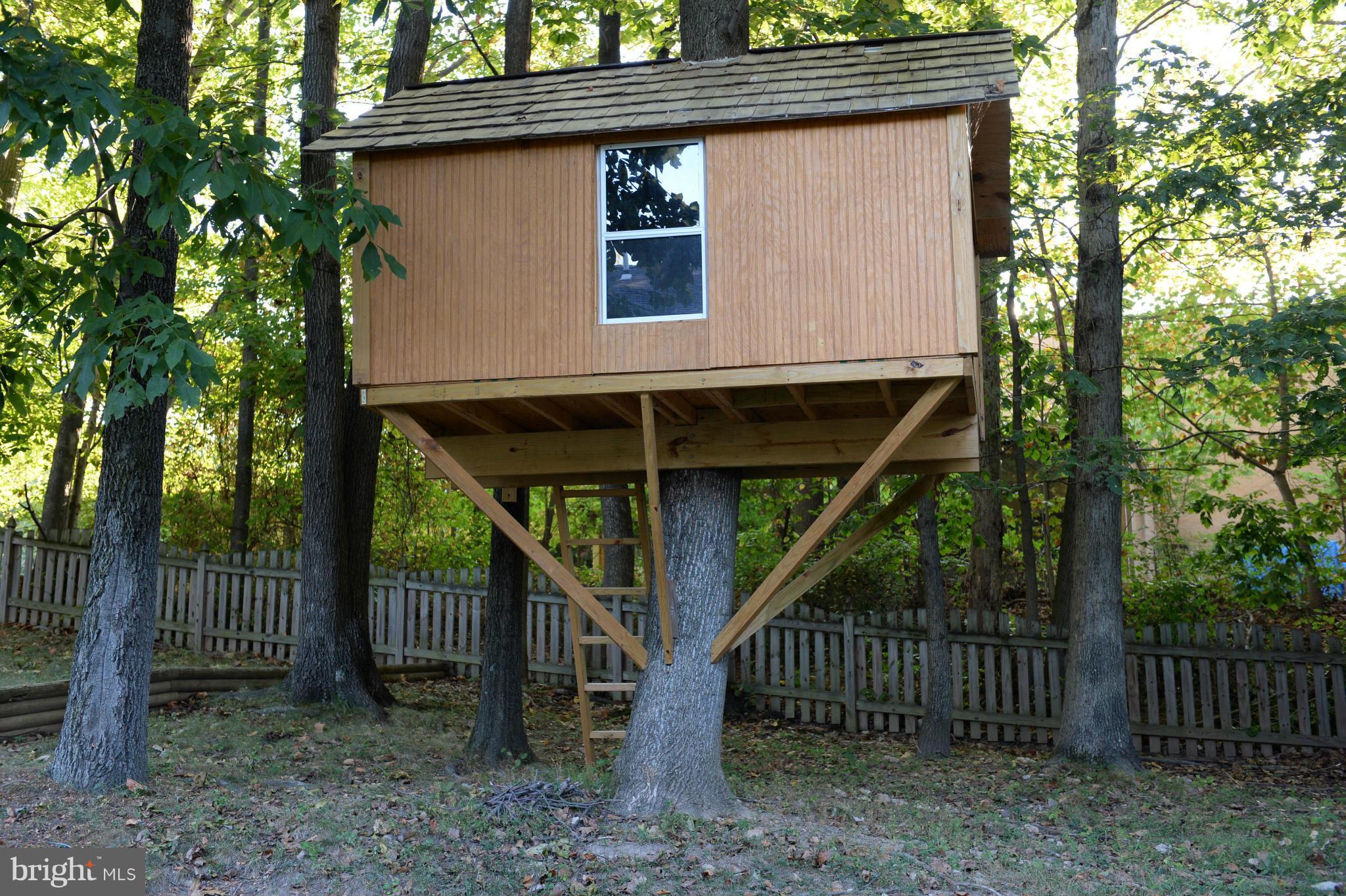 7615 Trail Run Road Falls Church, VA 22042 - Photo 23 of 28 Custom Treehouse
